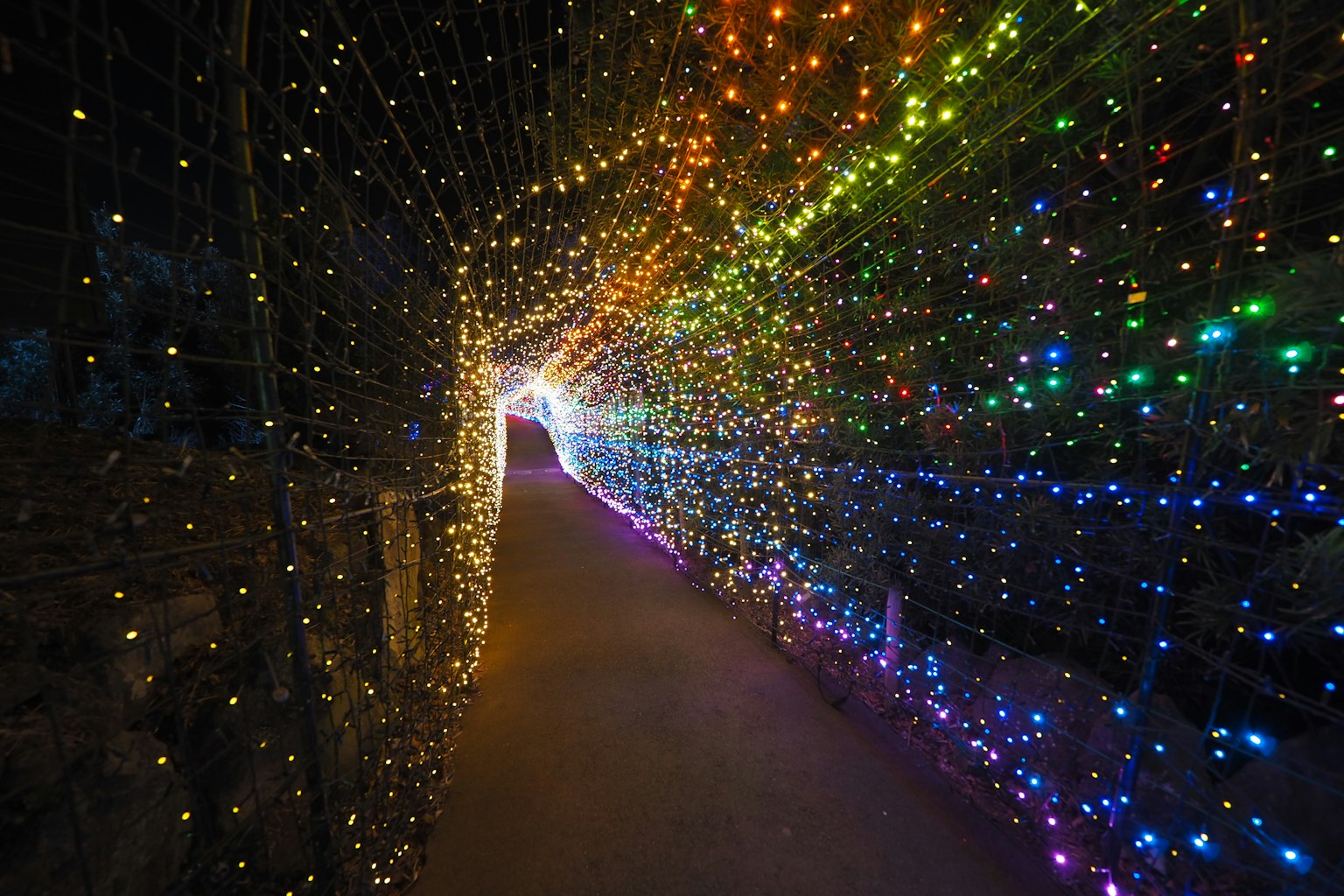 อุโมงค์ไฟสีสันสดใสที่ส่องสว่างทางเดิน