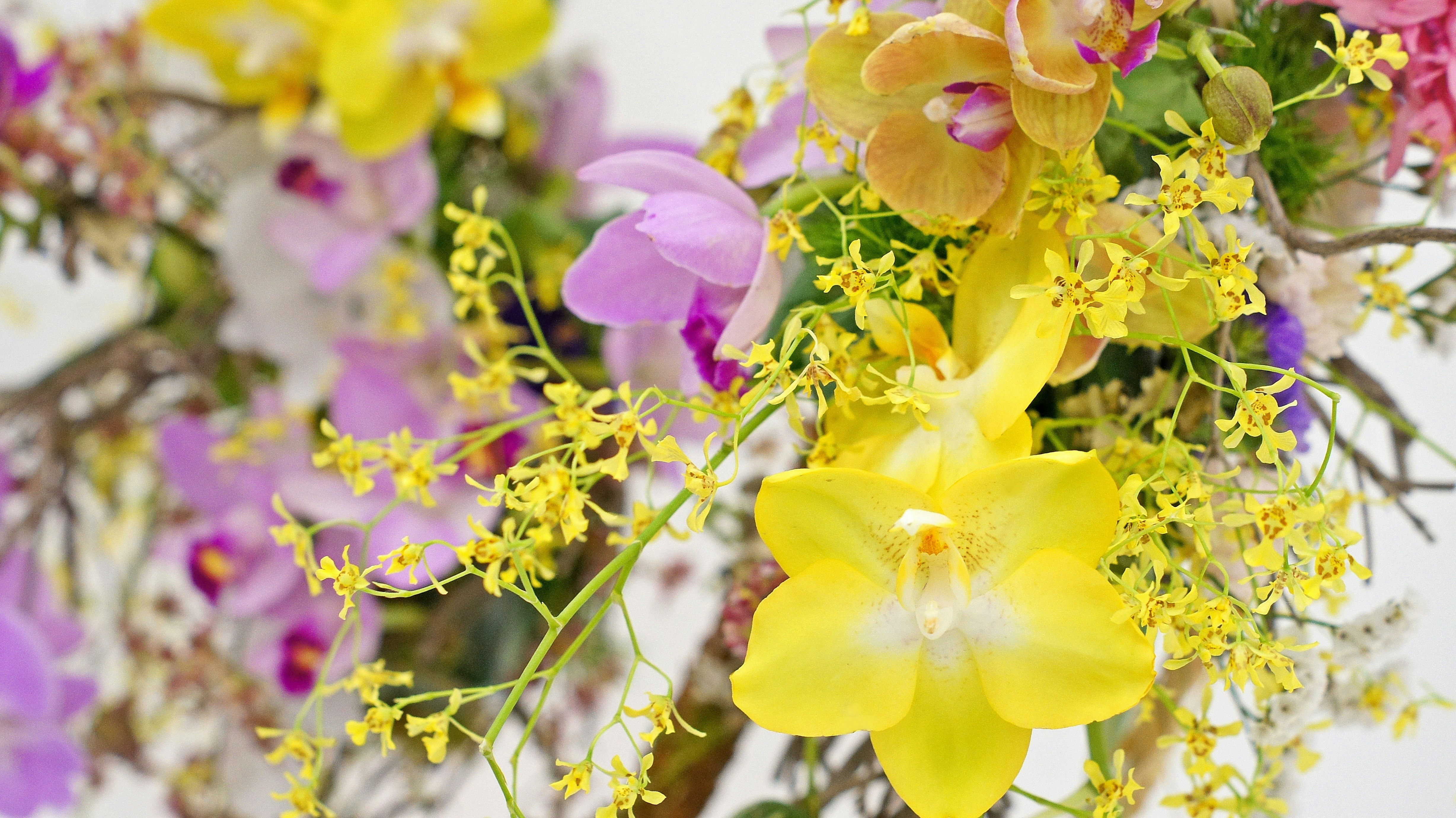 黄色と紫の花が咲き乱れる花房のクローズアップ