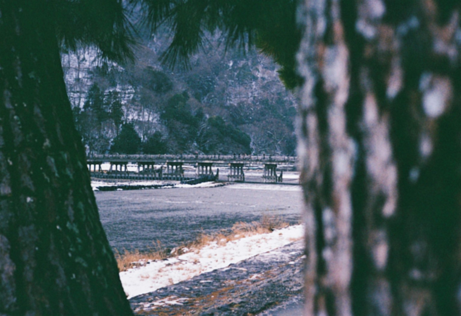 Paesaggio innevato con un sentiero visibile tra gli alberi