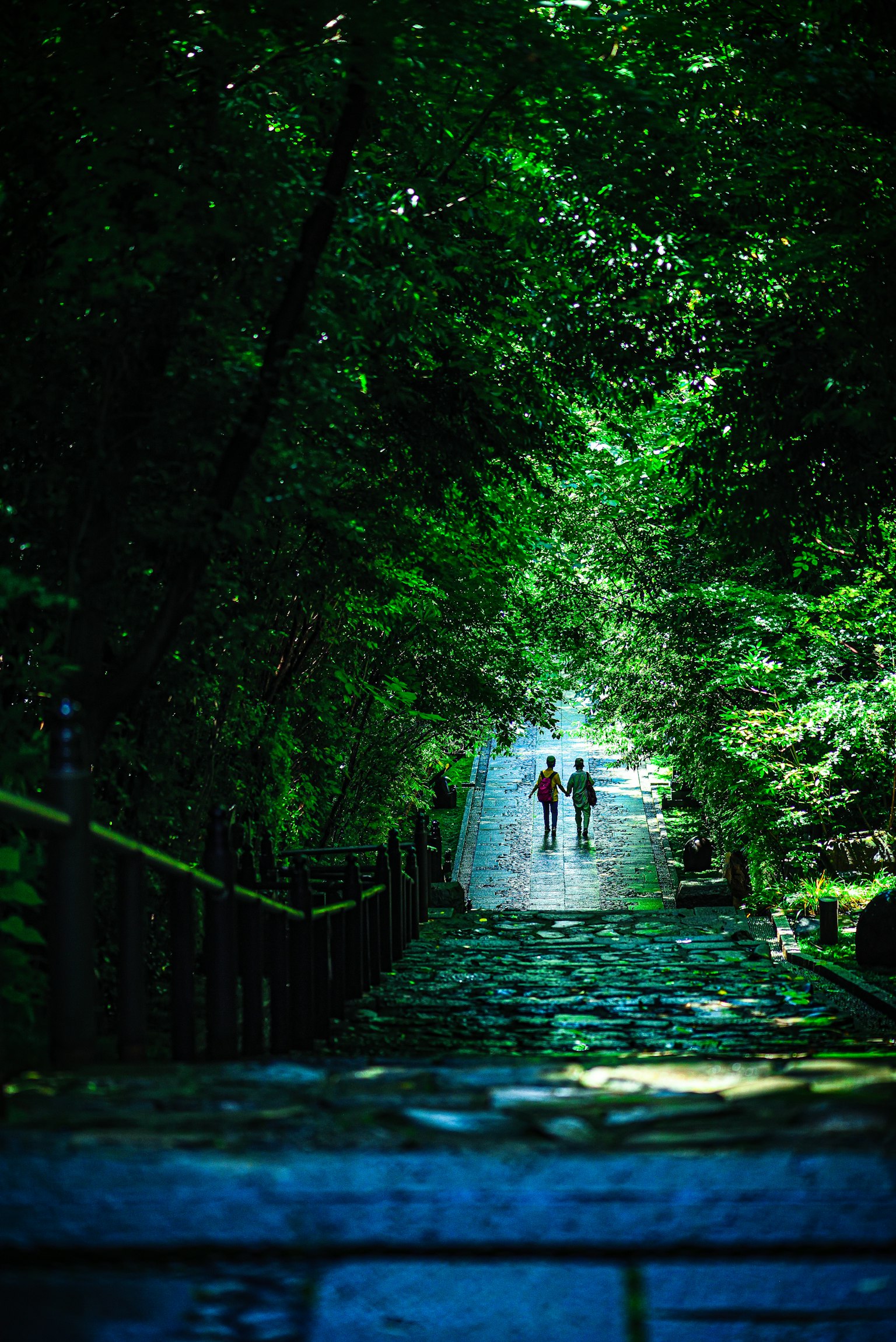 Due sagome che camminano su un sentiero forestale lussureggiante con la luce del sole che filtra
