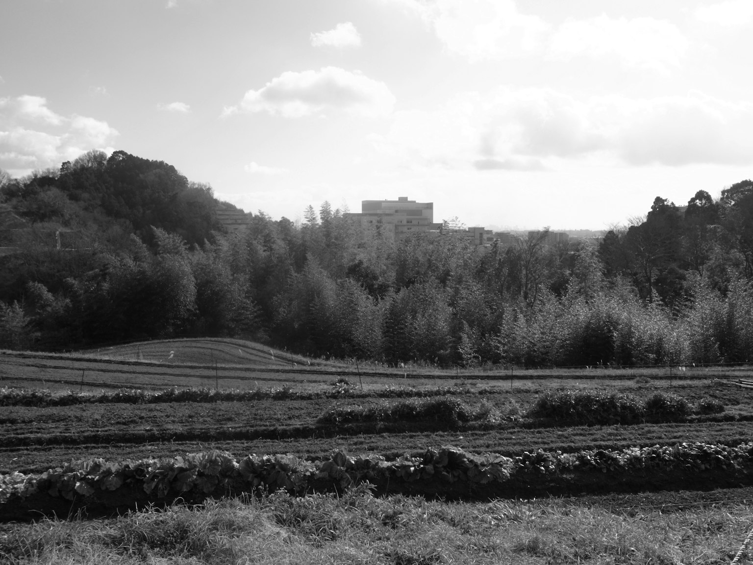 Black and white landscape photo featuring distant buildings and hills
