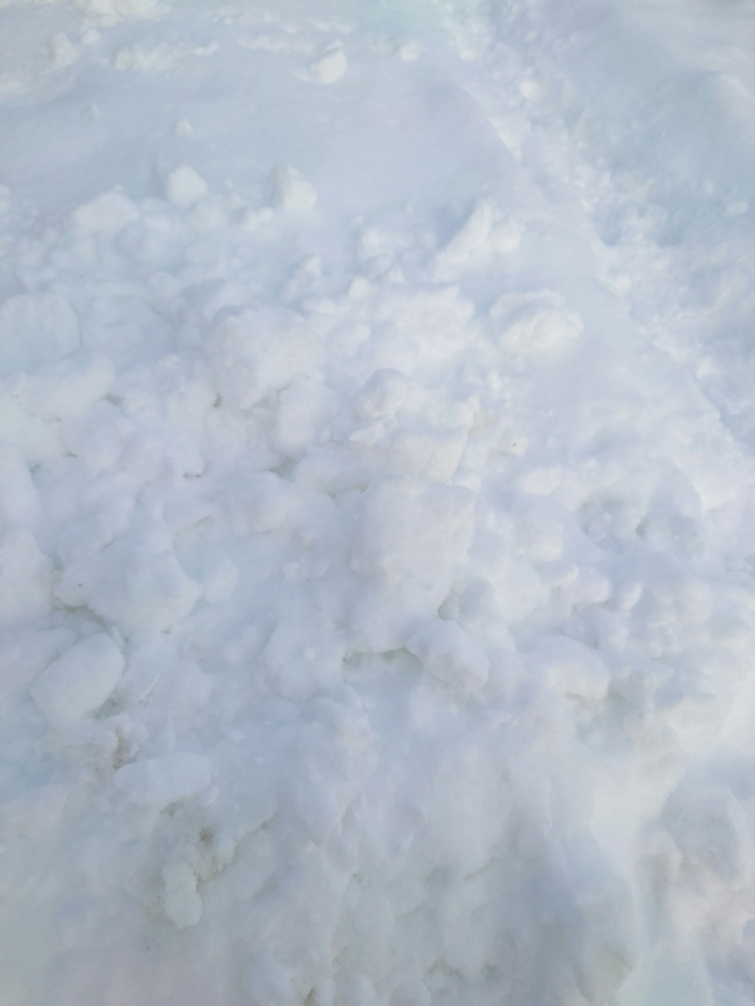 Piled snow covering the ground