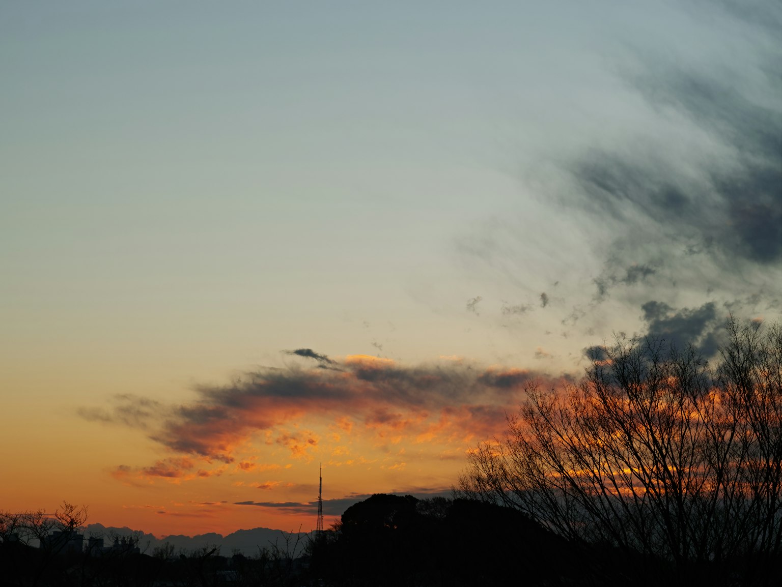 Cielo vibrante de atardecer con nubes naranjas y árboles en silueta