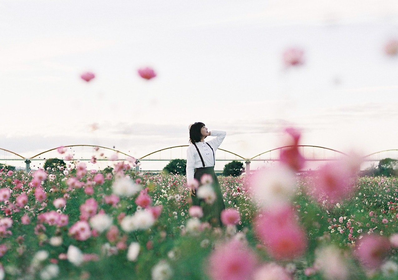 ピンクの花畑の中を歩く人