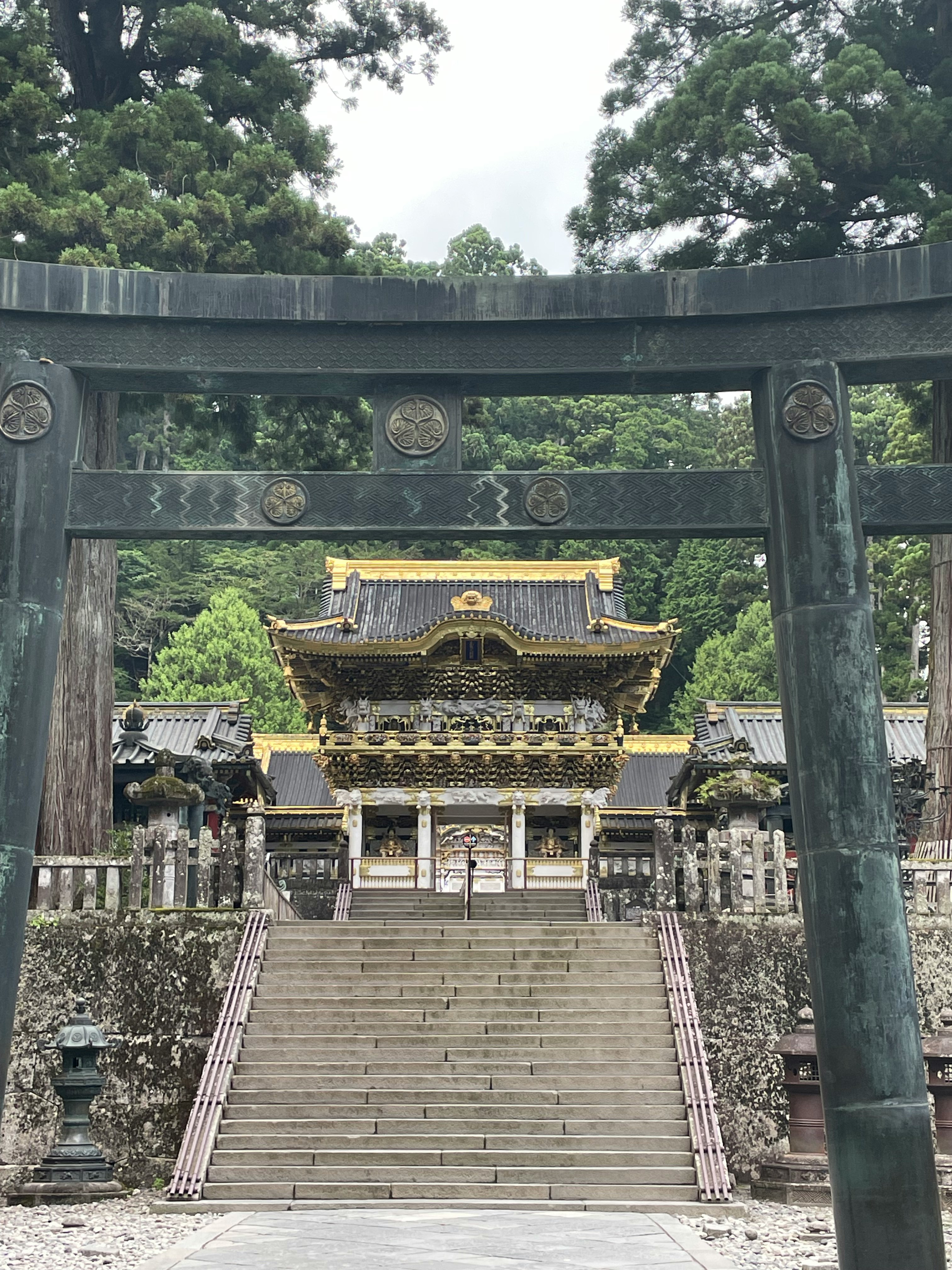 鸟居框景下的神社牌楼与石阶