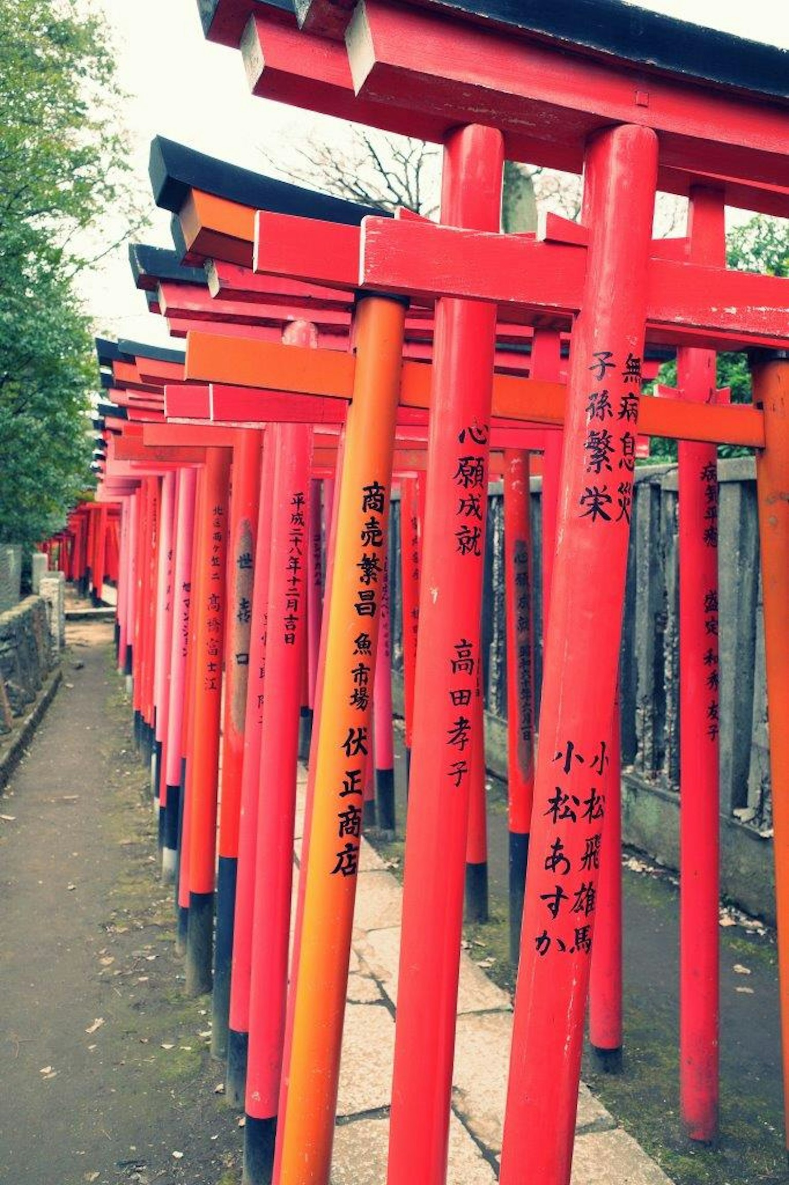 A landscape of red torii gates with inscriptions on the pillars
