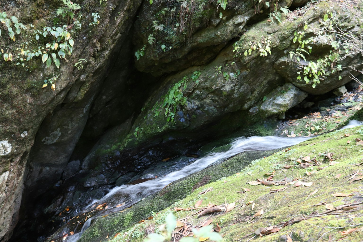 Un arroyo fluyendo entre rocas en un paisaje verde