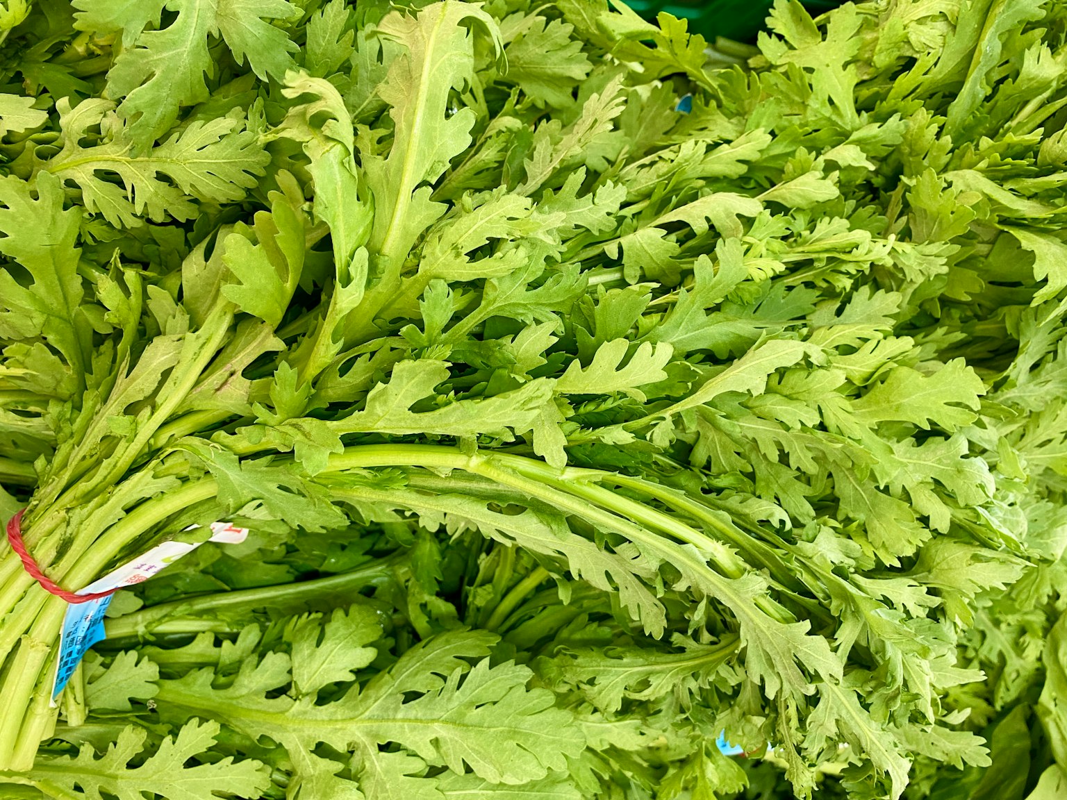 Seikat daun segar dengan tepi bergerigi