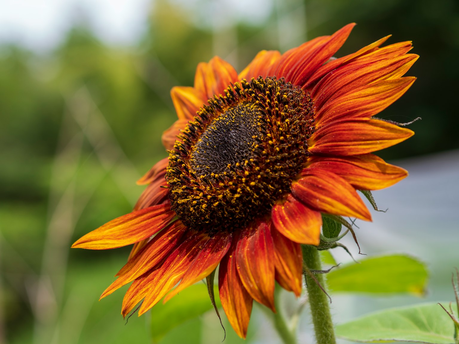 photo-IE3ODSP4xCbBZ2wCVIhp-image