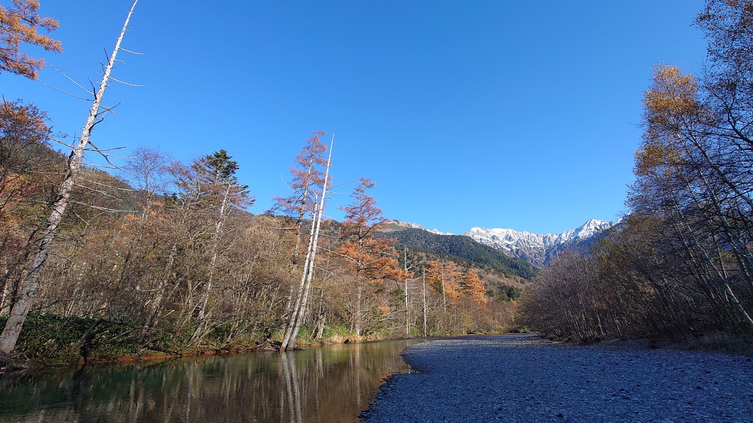 Scenic view of a river with autumn trees under a clear blue sky