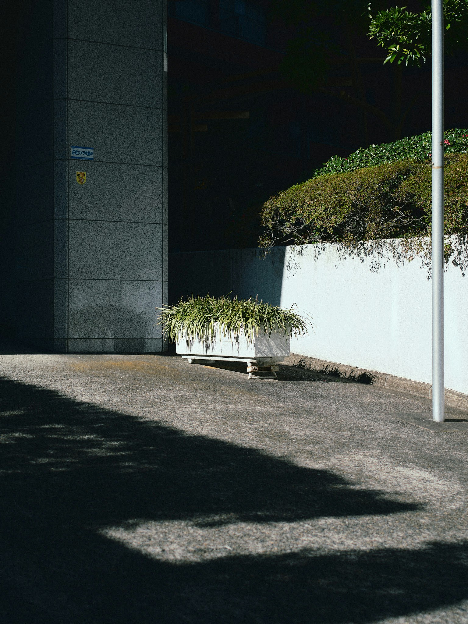 Una maceta blanca con hierba verde al lado de un edificio moderno