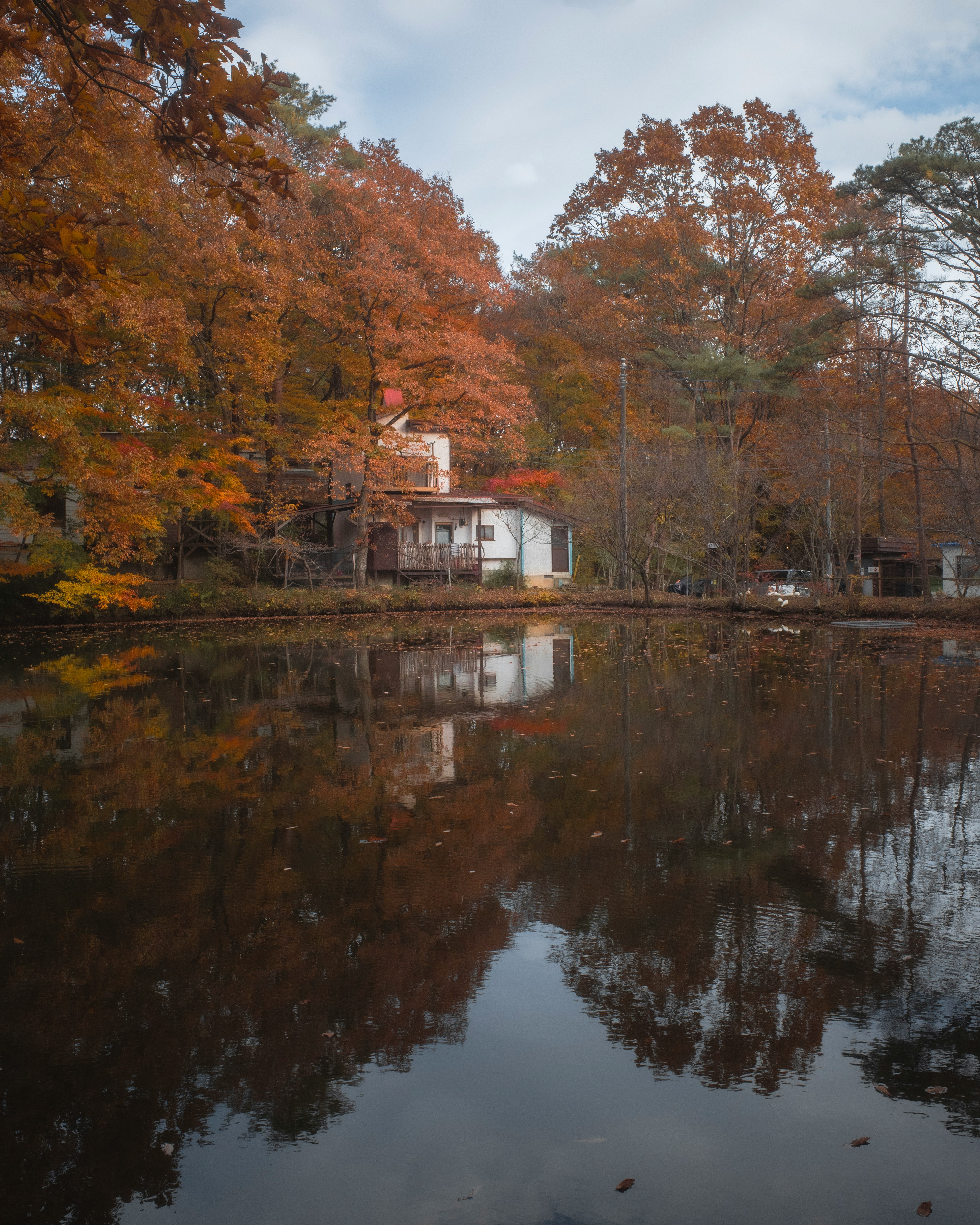 紅葉と水面に映る小屋のある池のリフレクション