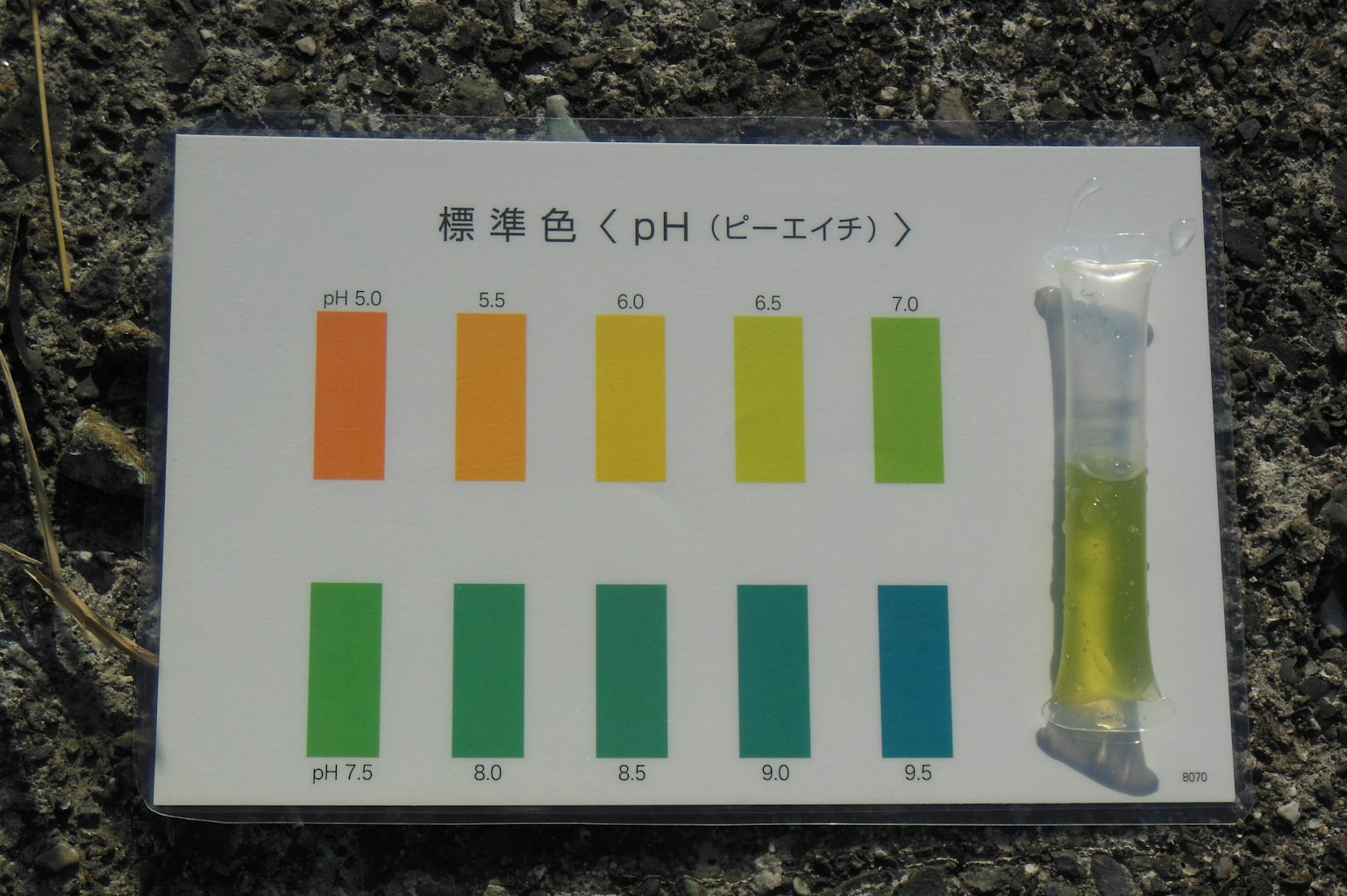 pH测试工具的颜色图表和试管