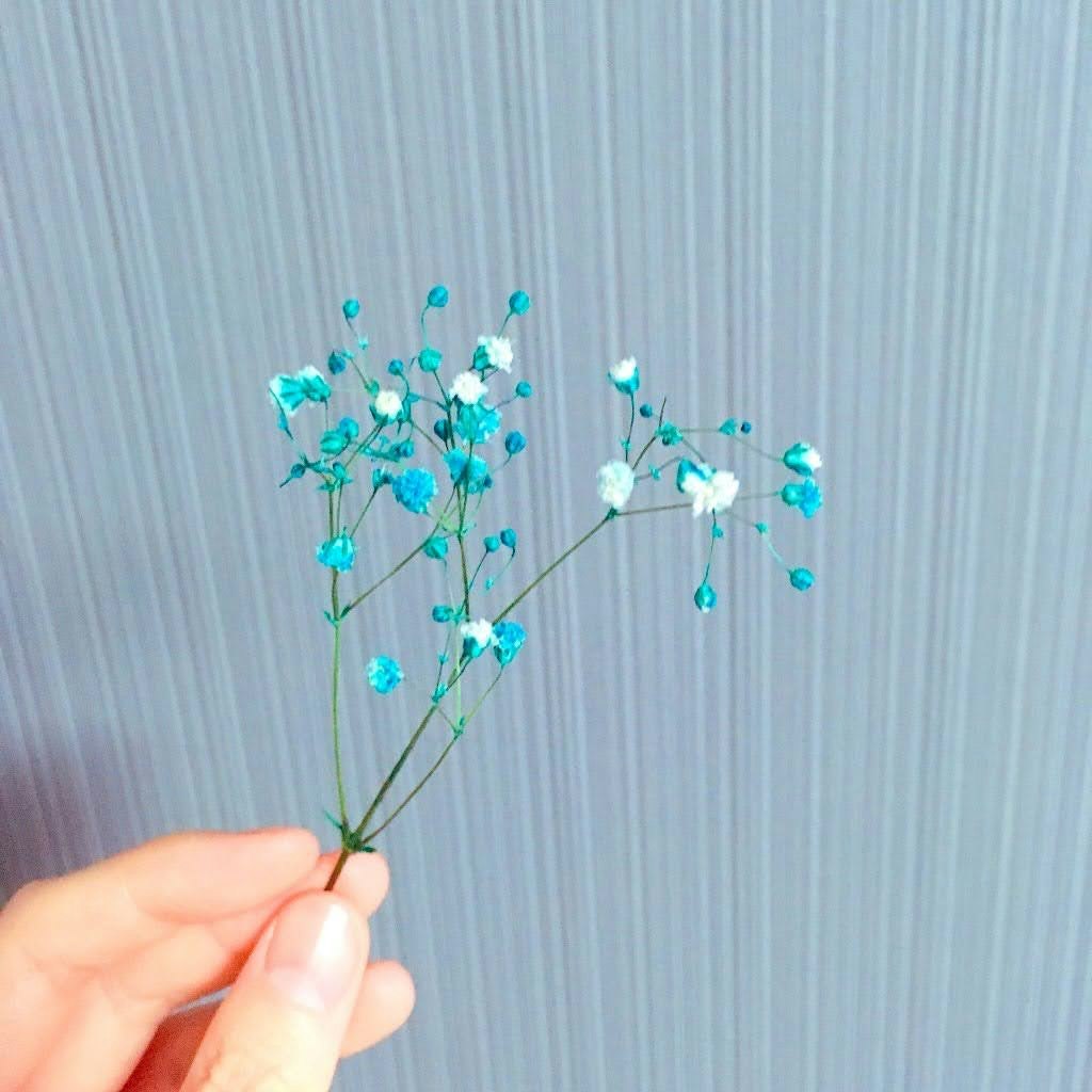 hand holding a small bouquet of blue-green flowers