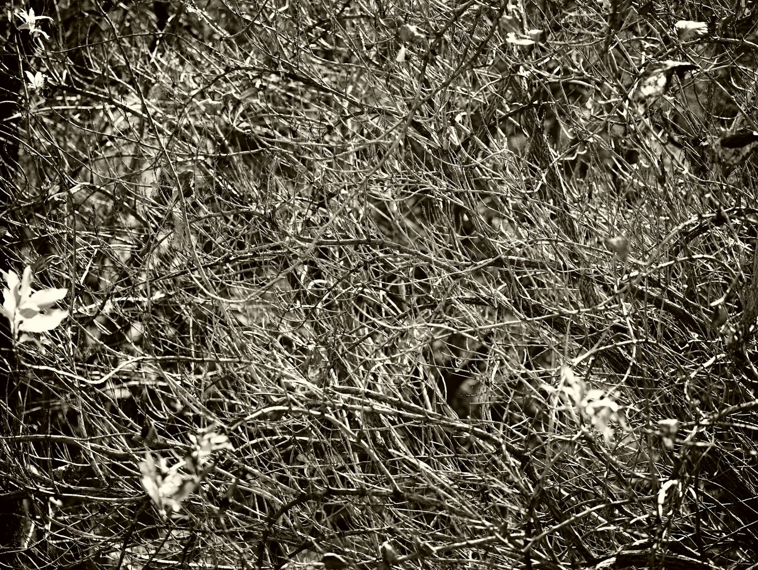 photo-IGiXs3h5m742iiJe4QaB-image