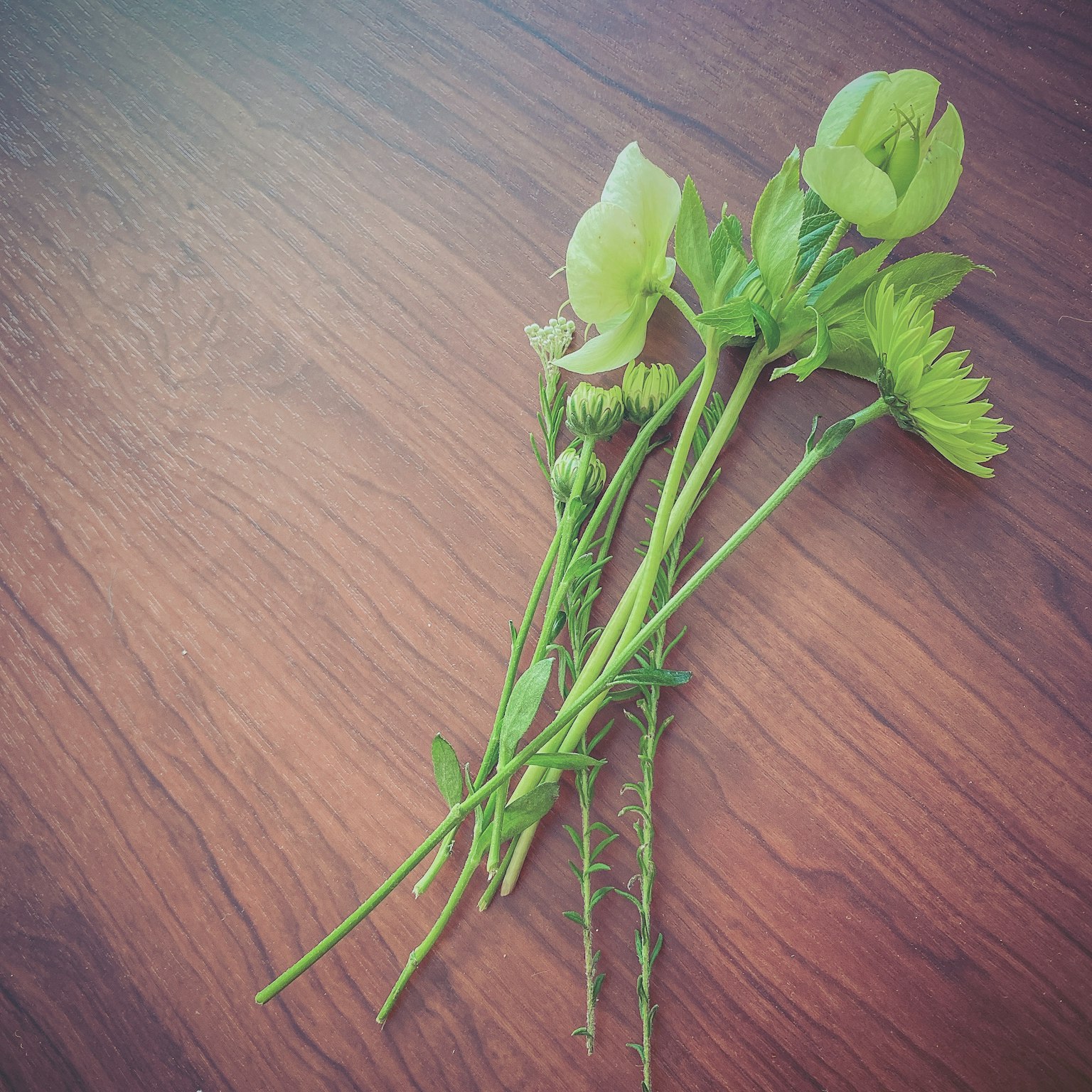 Ein Strauß grüner Blumen auf einem Holztisch
