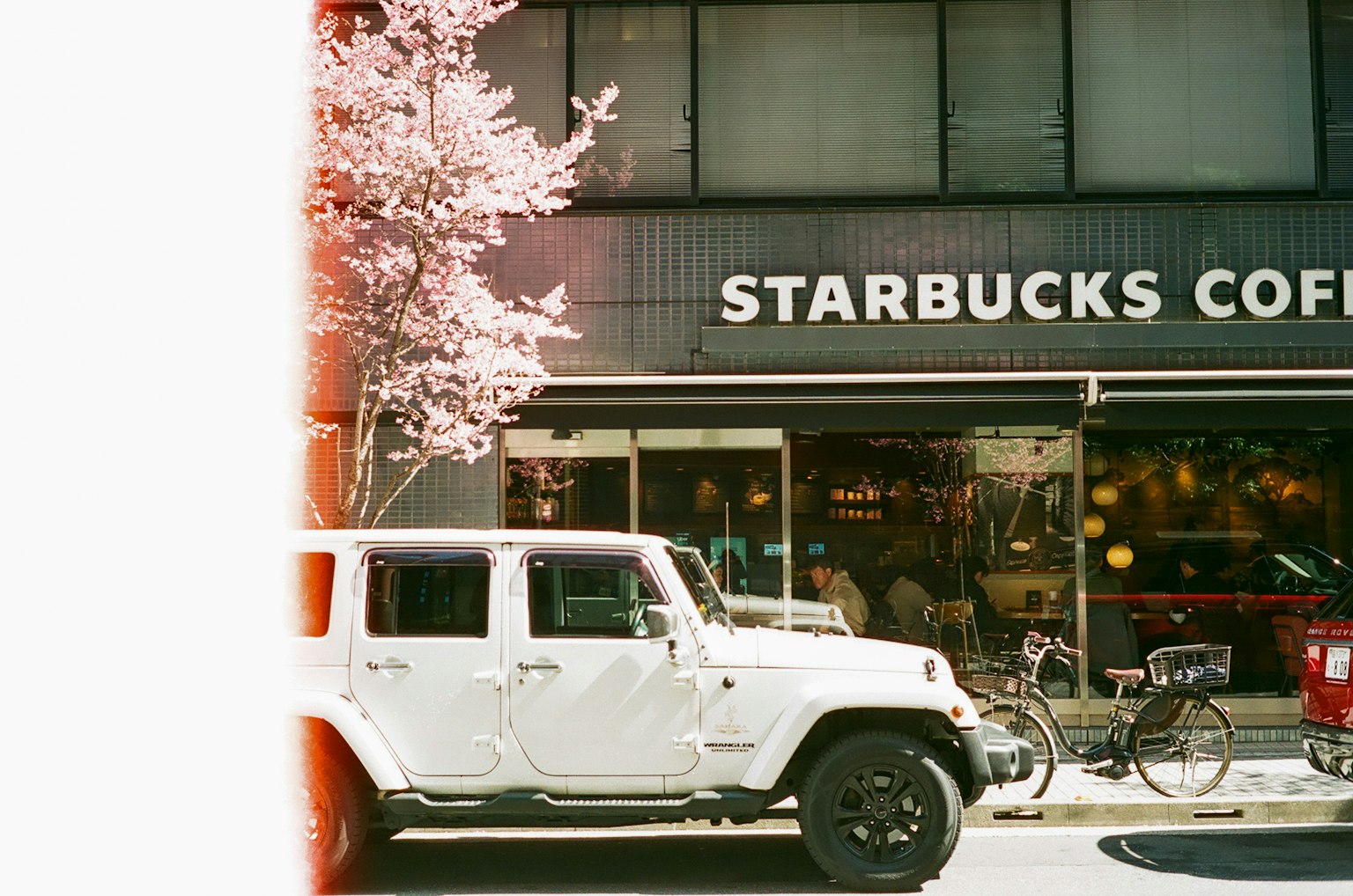 Jeep blanche garée devant Starbucks avec un cerisier en fleurs