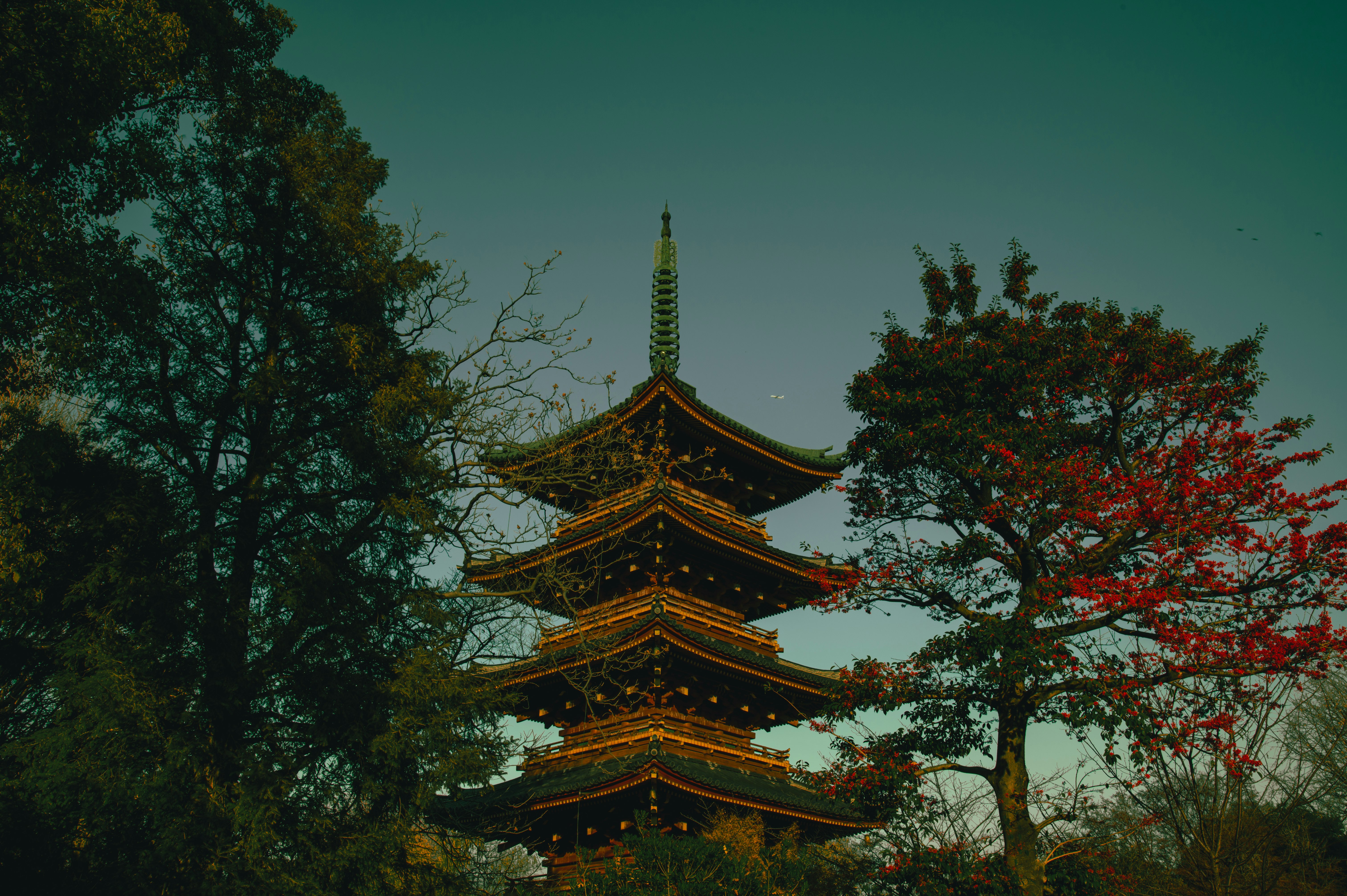 紅葉と木々の間にそびえる寺院の五重塔