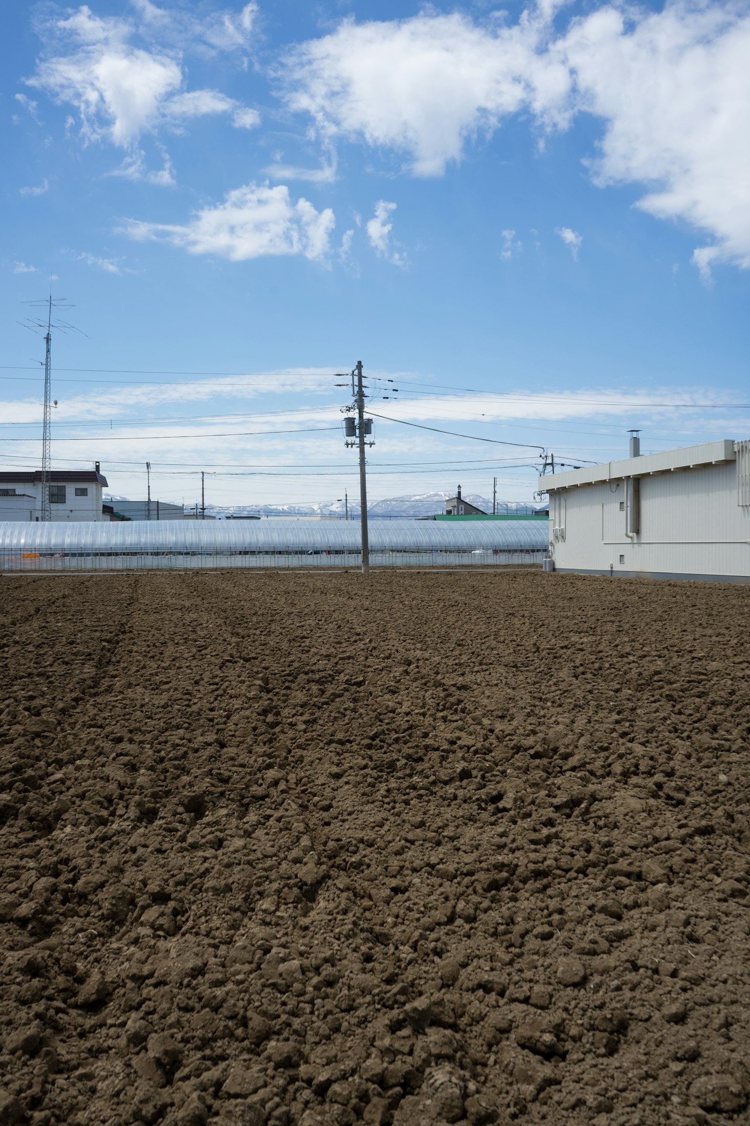 Landscape featuring tilled farmland under a blue sky with clouds