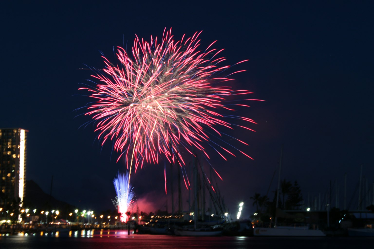 Beautiful shot of fireworks bursting in the night sky
