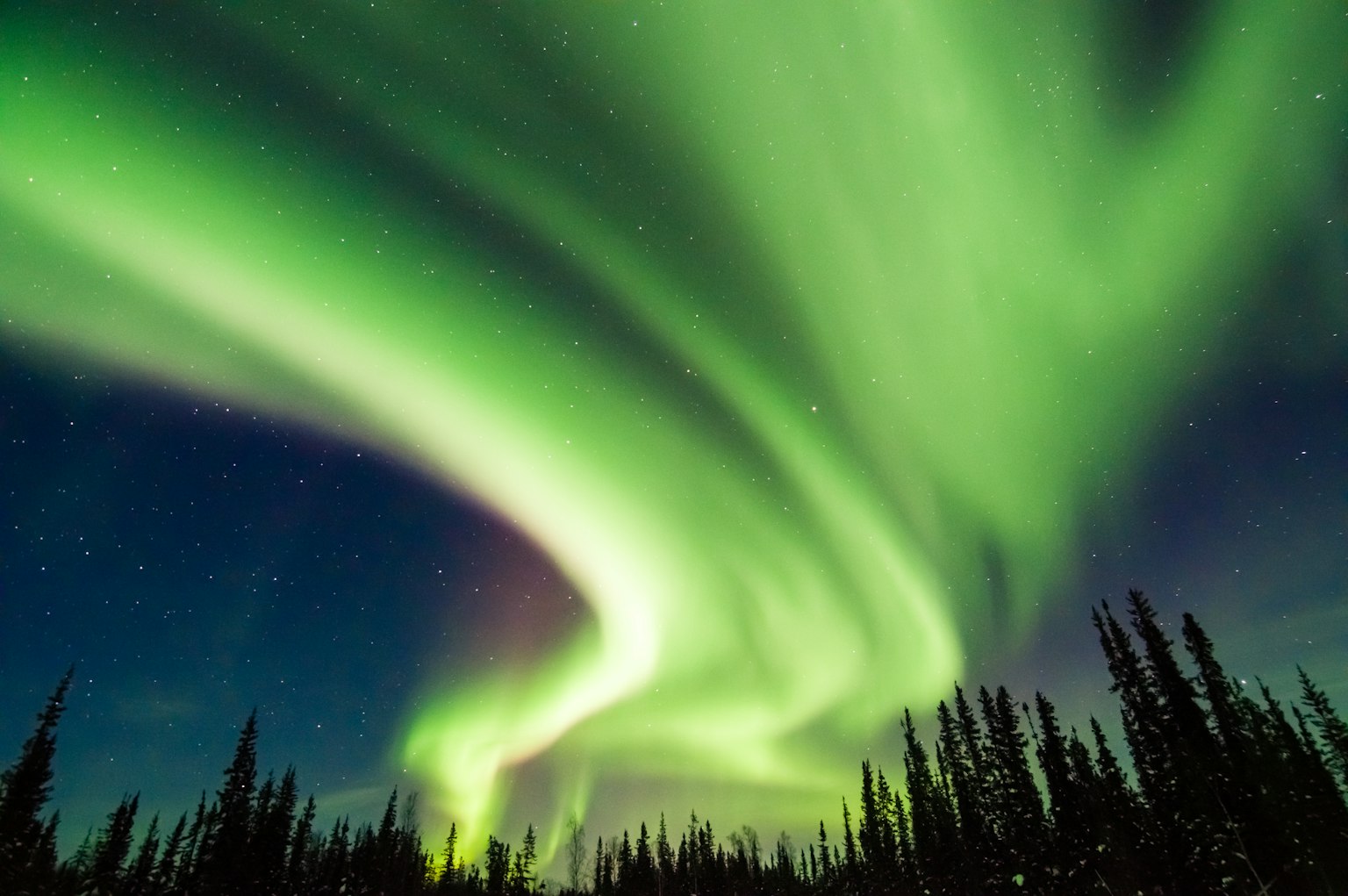 Superbe aurore verte dansant dans le ciel nocturne