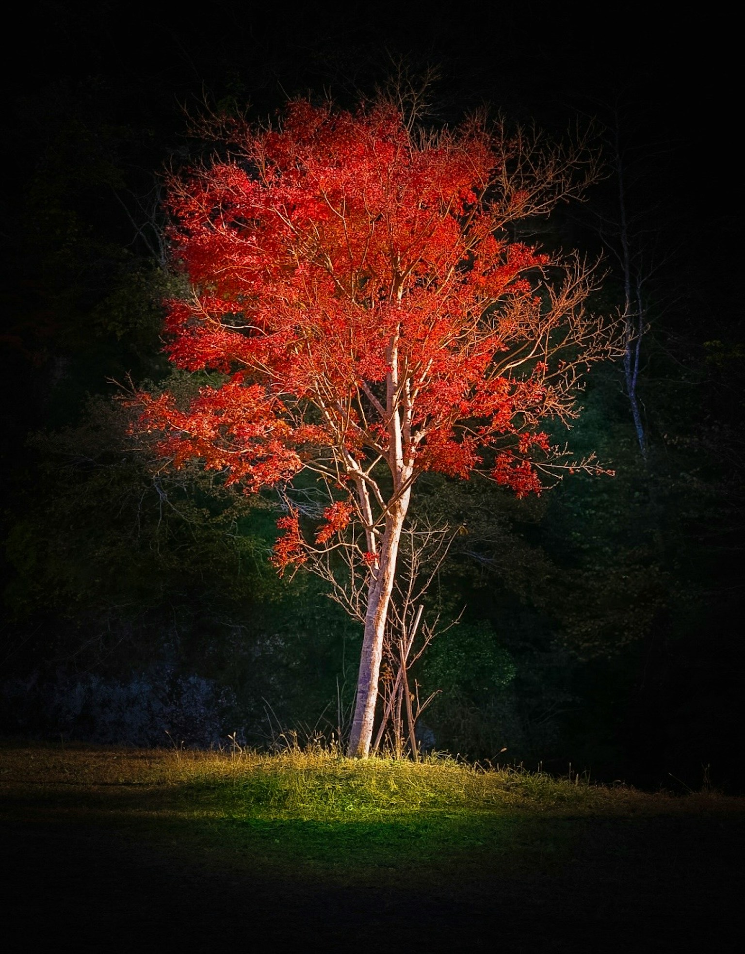 photo-IKMiE8LdtOji2ViXxIow-image