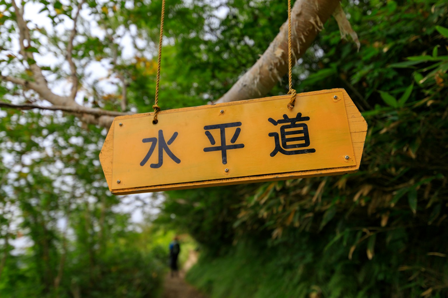 懸掛在樹枝上的黃色標誌，指示水平路徑
