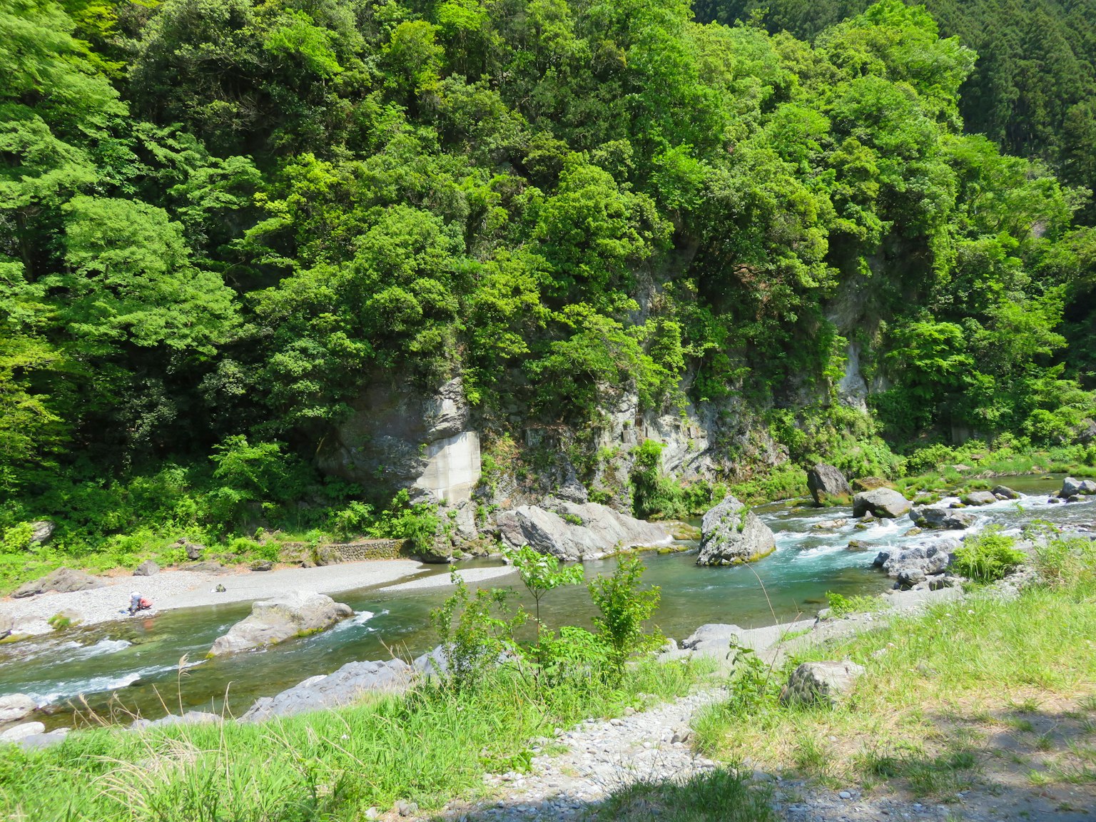 郁郁葱葱的森林和河流景观，特色岩石和流动的水