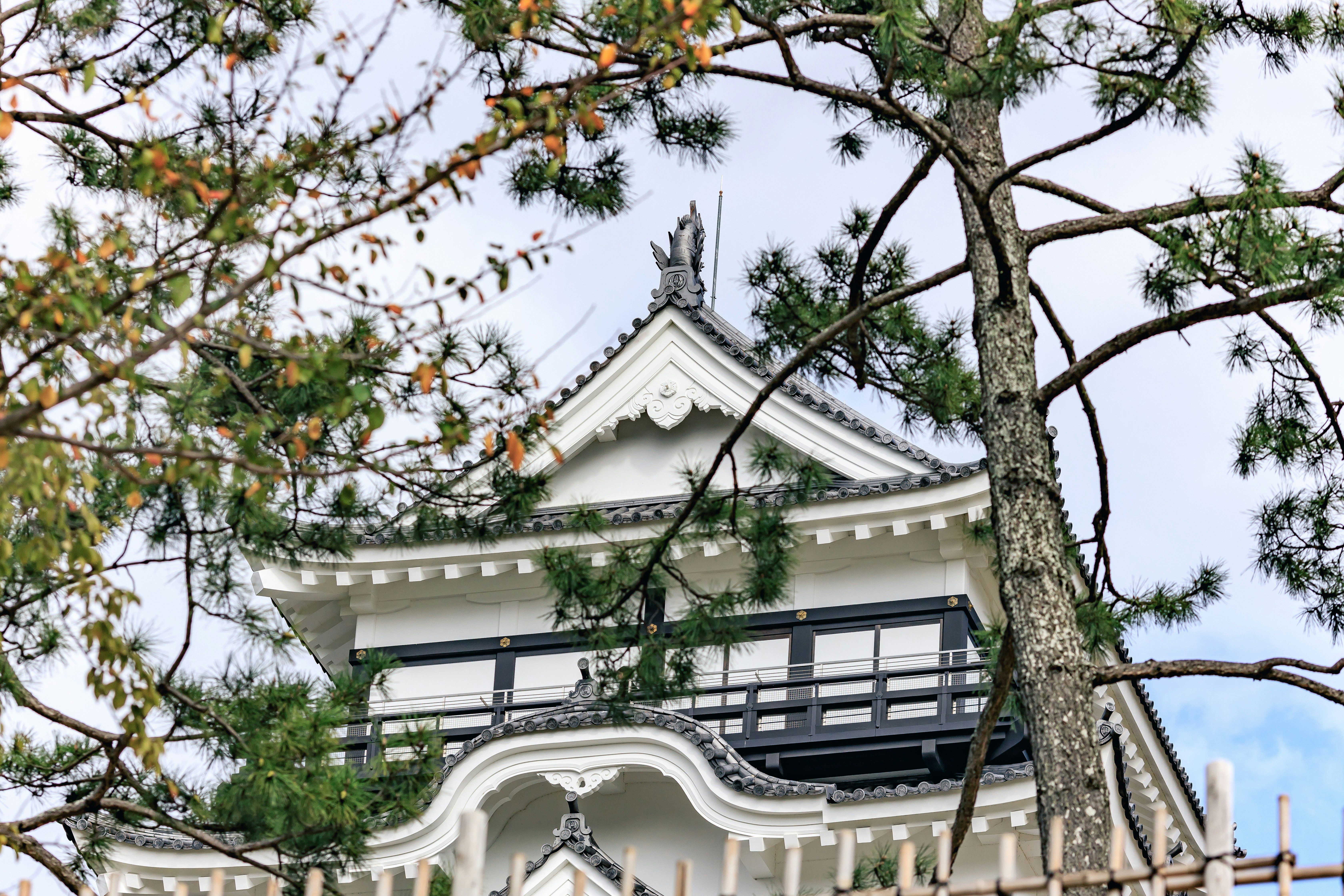 福山城の天守閣と松の木のある城郭建築
