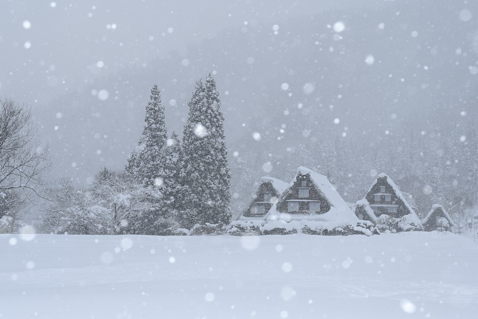 Scena invernale con case coperte di neve e alberi alti