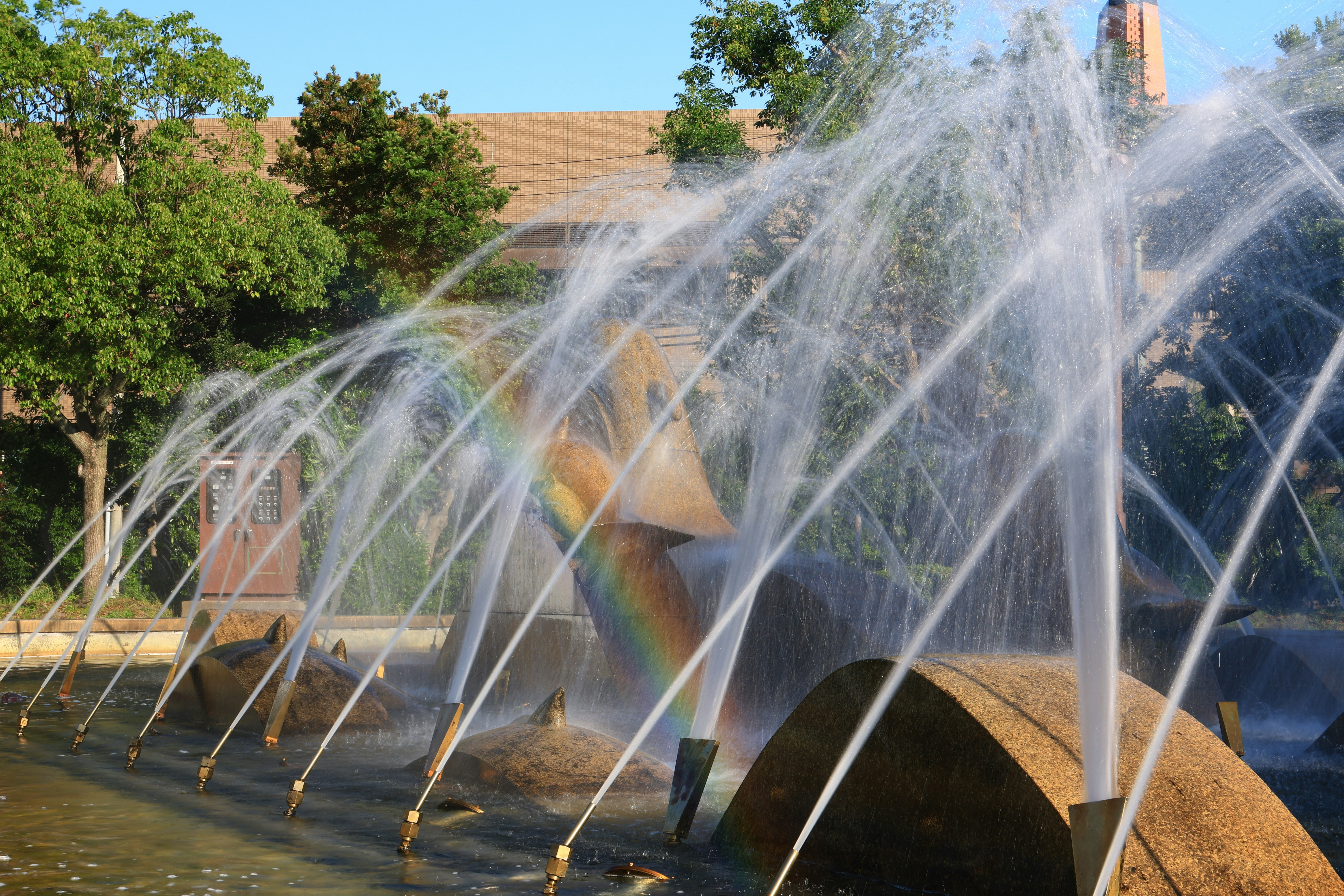 噴水から虹色の水しぶきが上がる公園の噴水