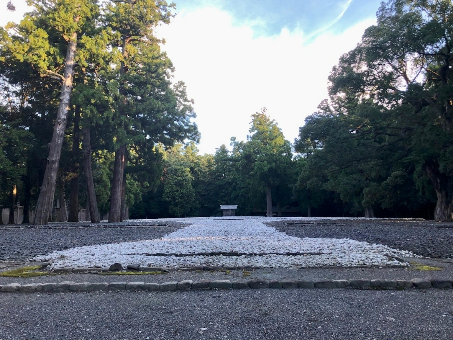 A serene garden path lined with white flower petals and green trees
