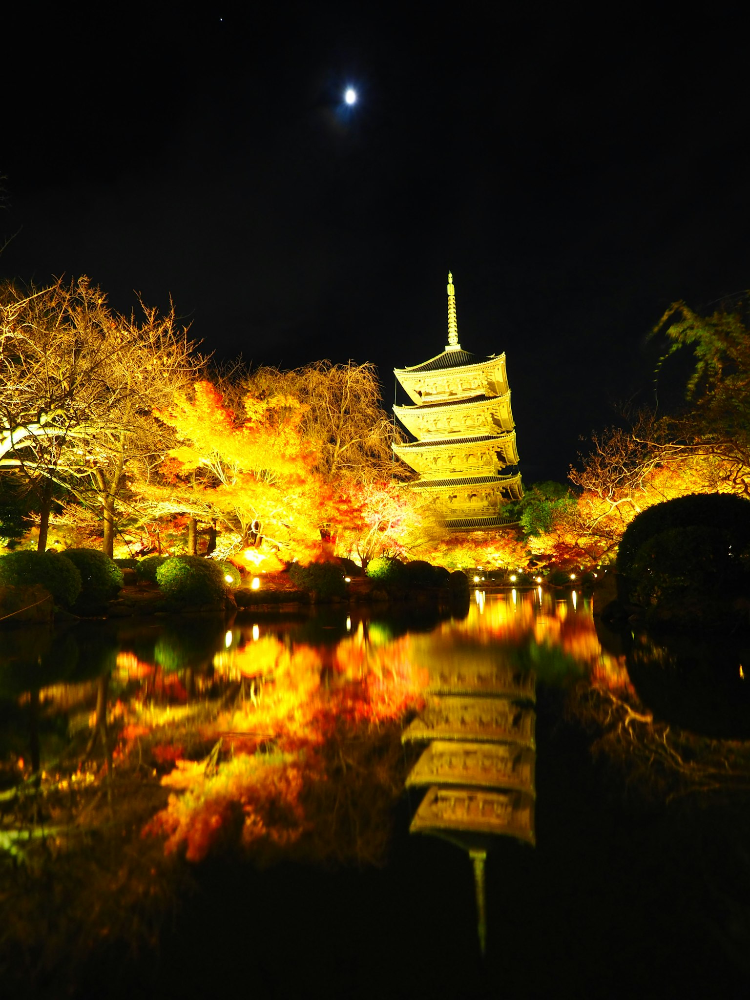 Beautiful scene of a pagoda and autumn leaves reflecting in a tranquil garden at night