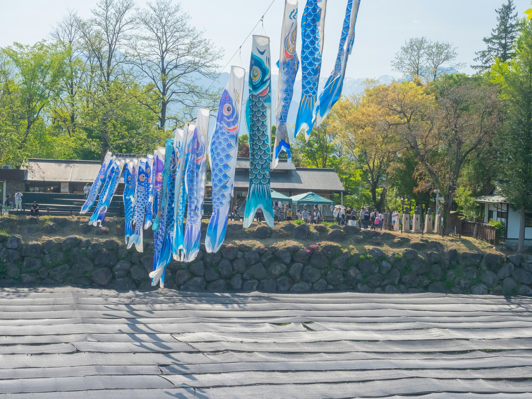 青い鯉のぼりが並ぶ公園の石垣と階段