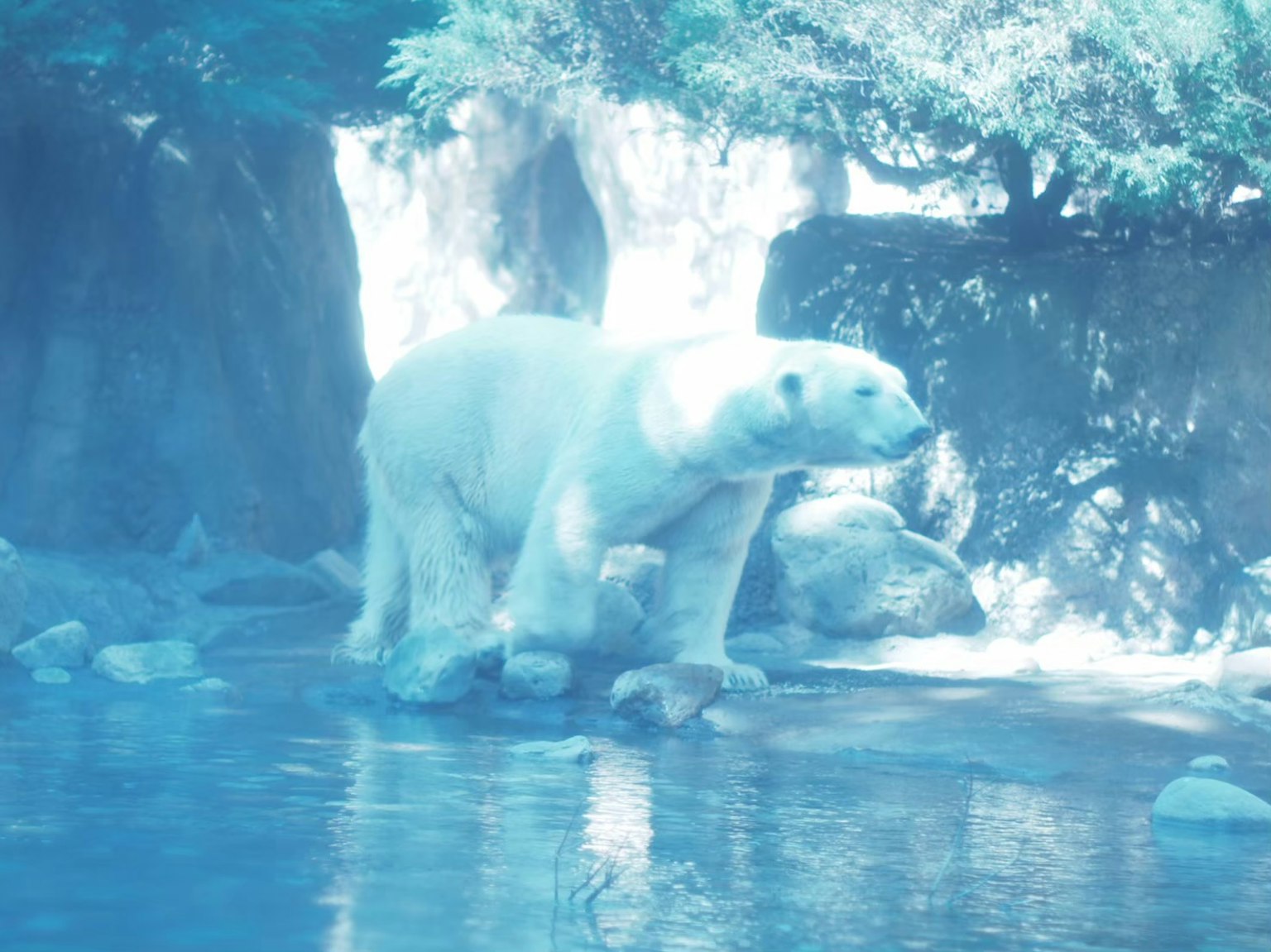 Una imagen impactante de un oso polar de pie junto al agua