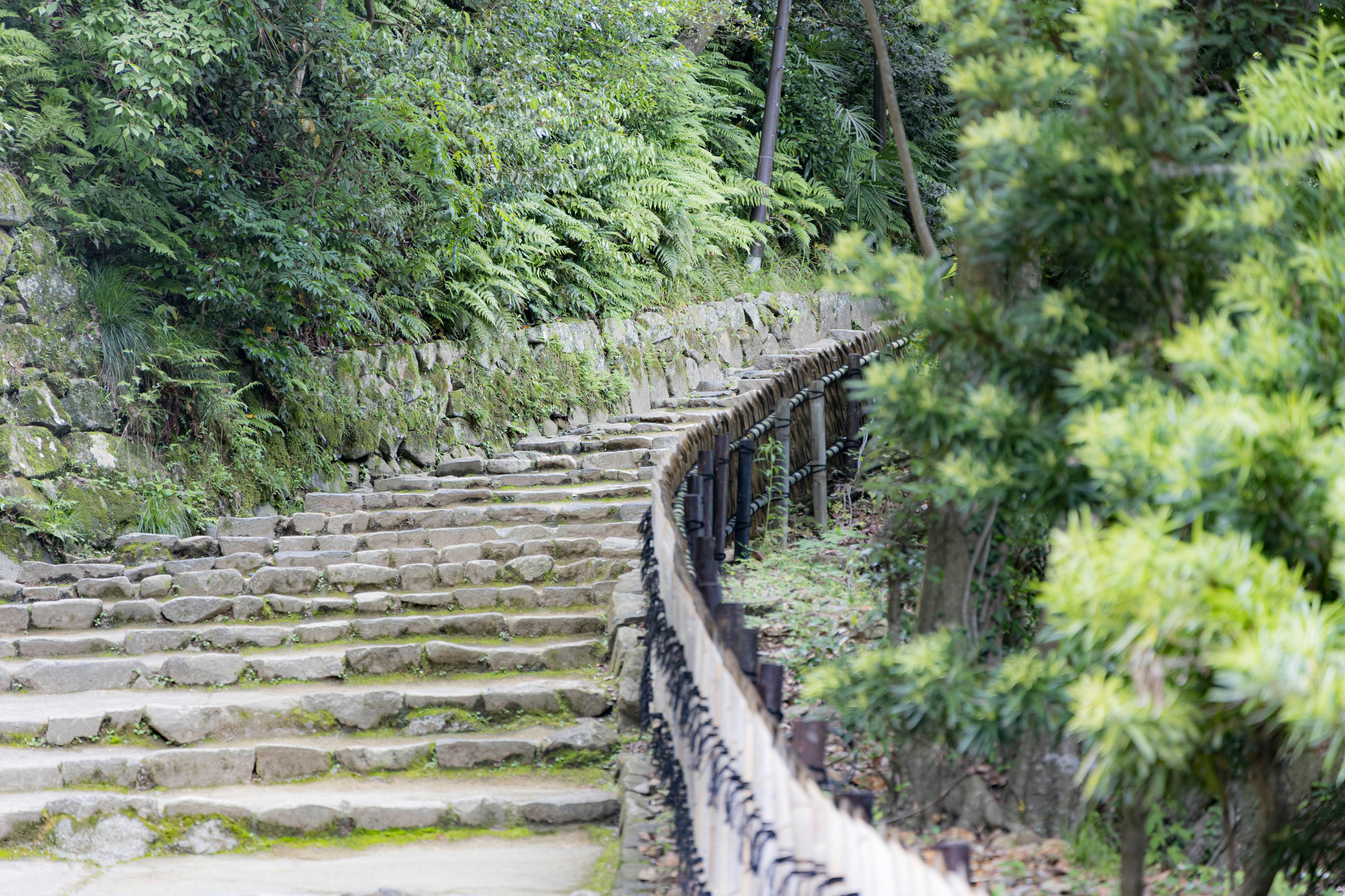 Steintreppen und gepflasterter Weg an der Burg Hikone