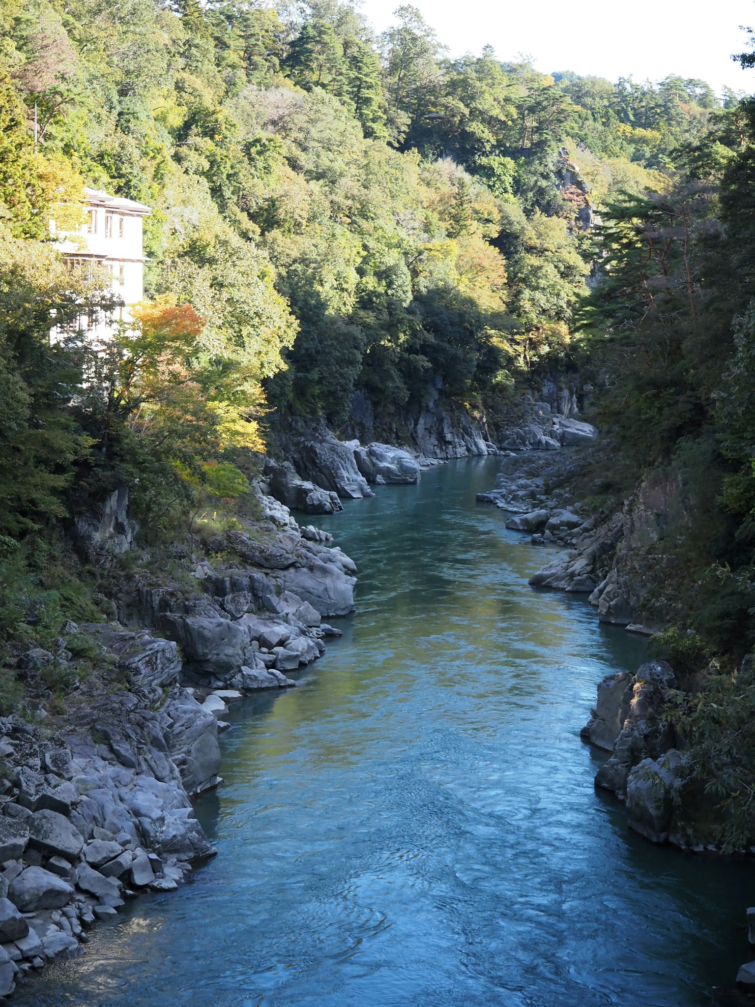 被郁郁葱葱的绿树和岩石岸边环绕的河流美景