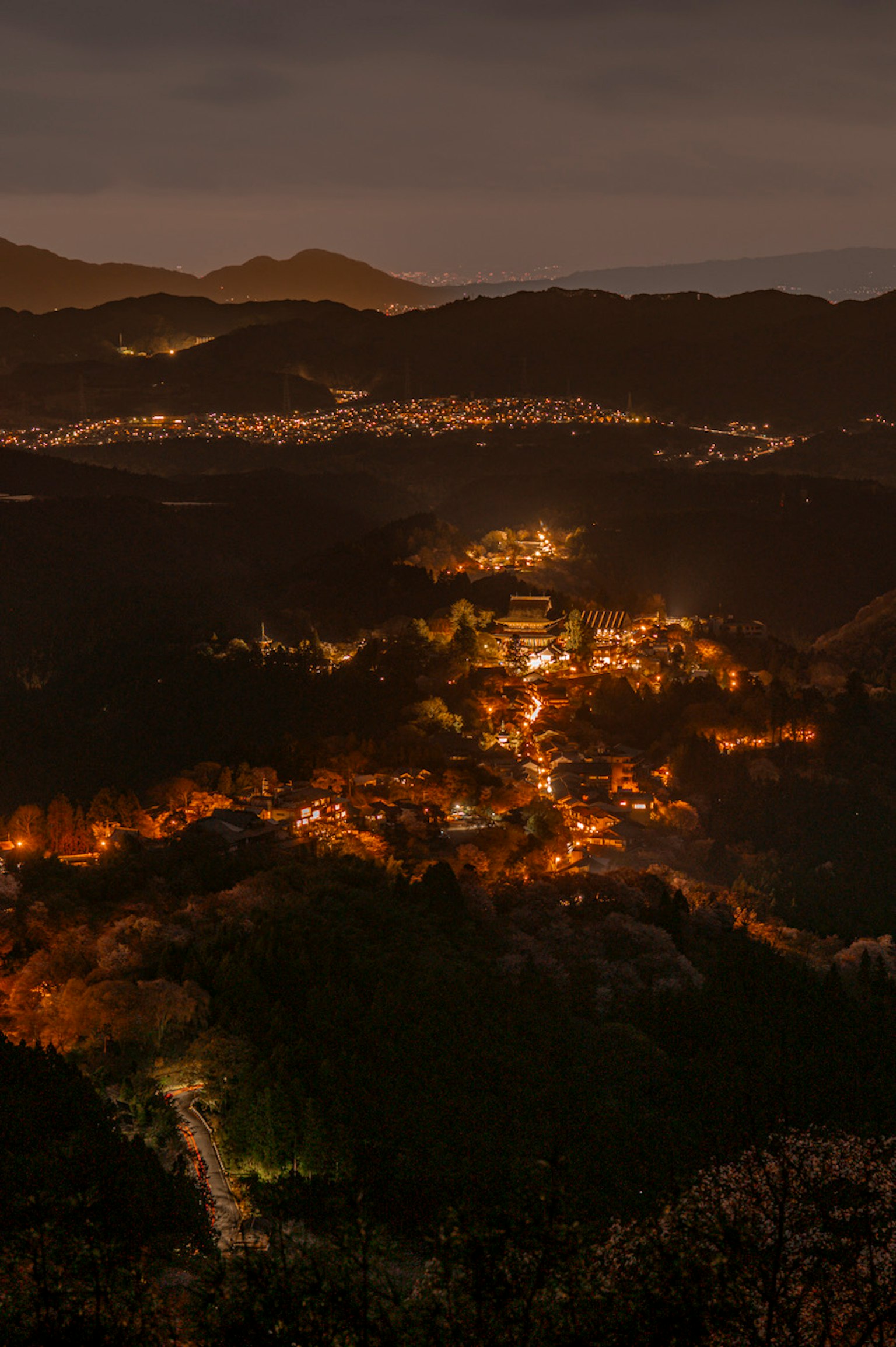 夜晚的山村美景，房屋閃爍的燈光