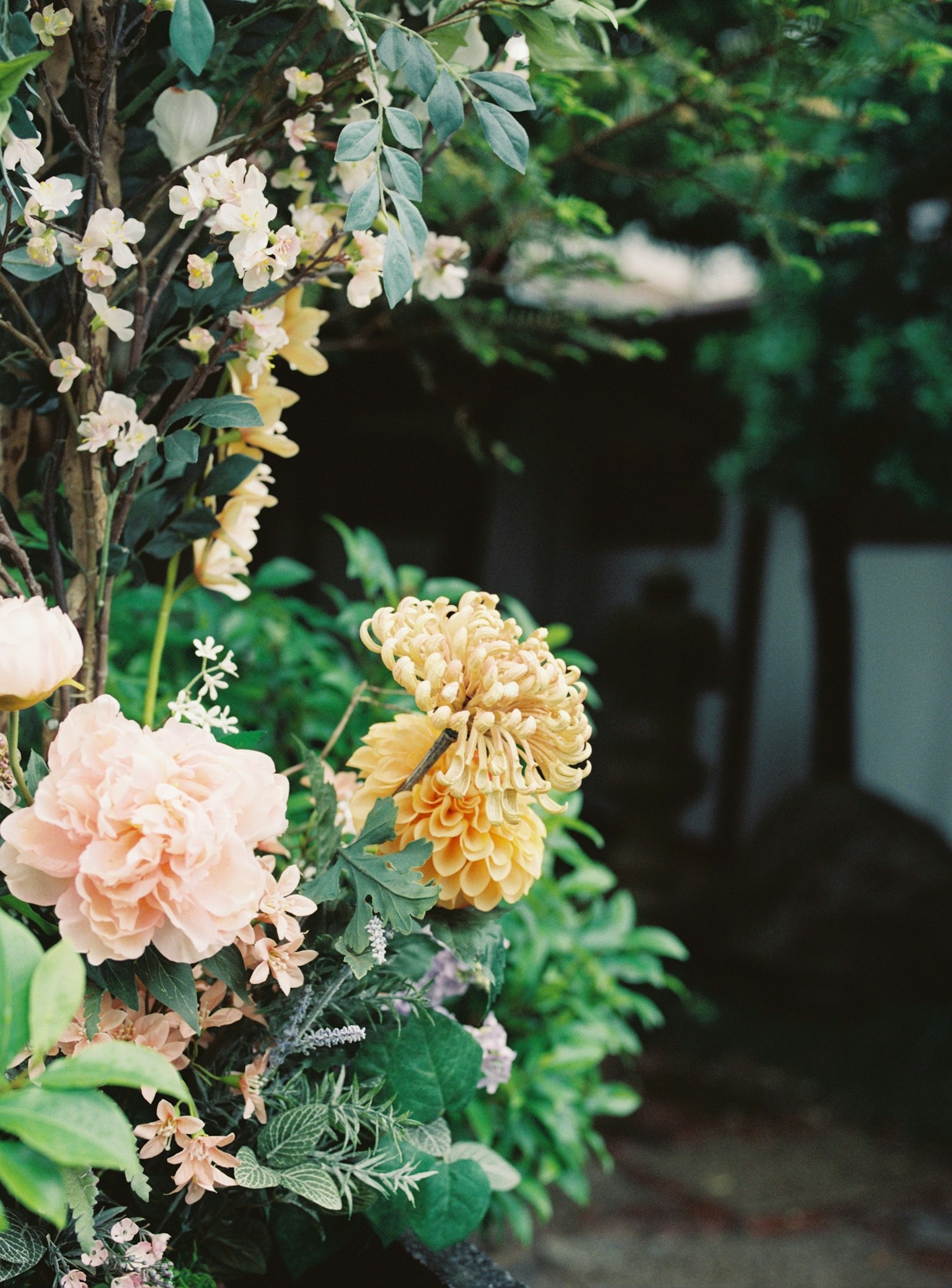 Piante bellissime con fiori colorati in un paesaggio verdeggiante
