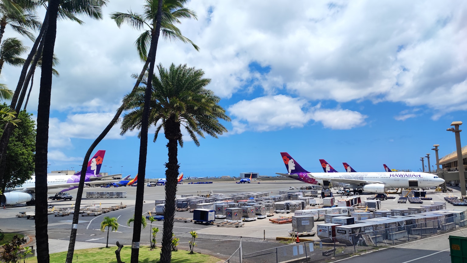 夏威夷机场停放的多架夏威夷航空飞机和棕榈树的景象