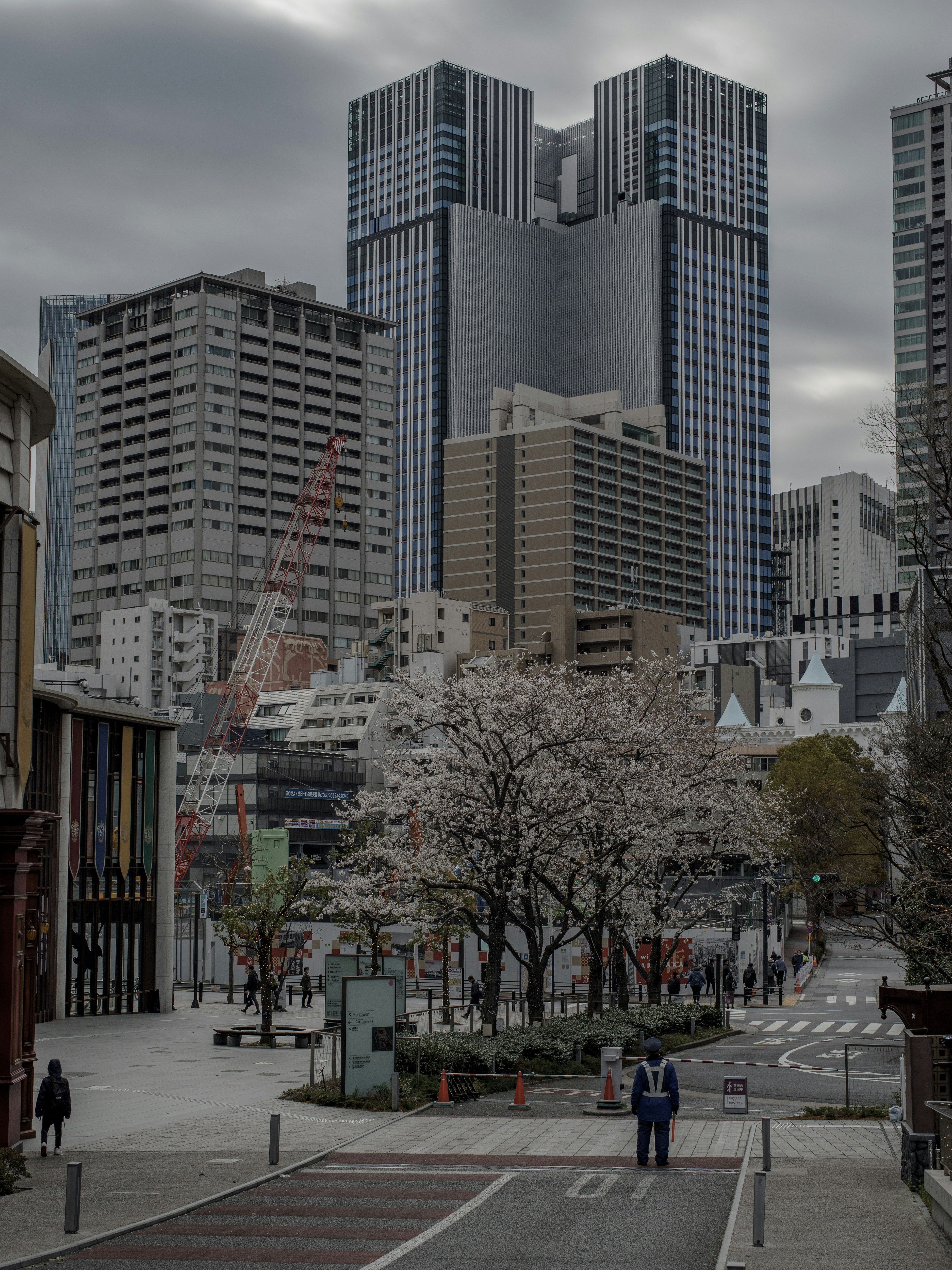 城市風景，特色高樓和櫻花樹