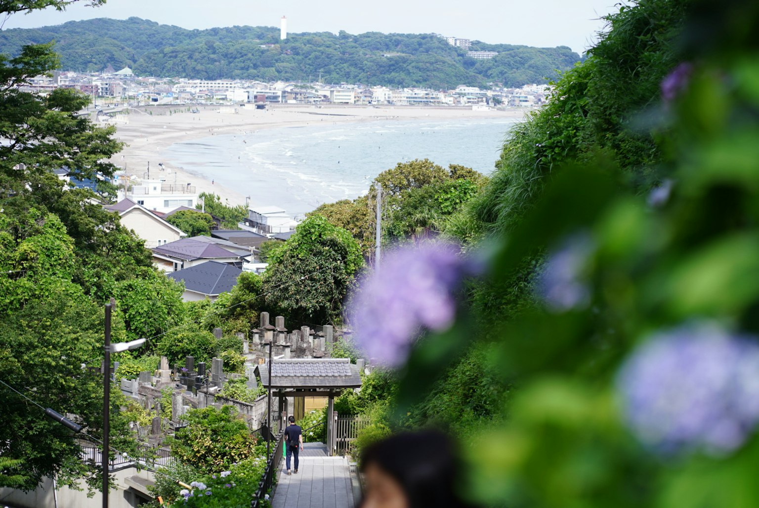 Escalier luxuriant avec des hortensias surplombant la mer