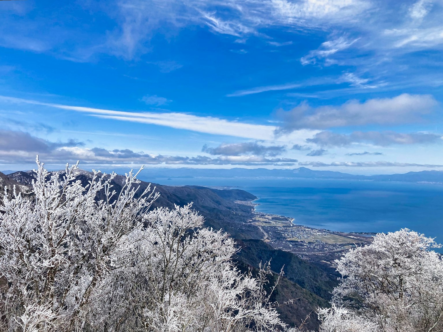 Vue panoramique d'arbres enneigés et d'un ciel bleu