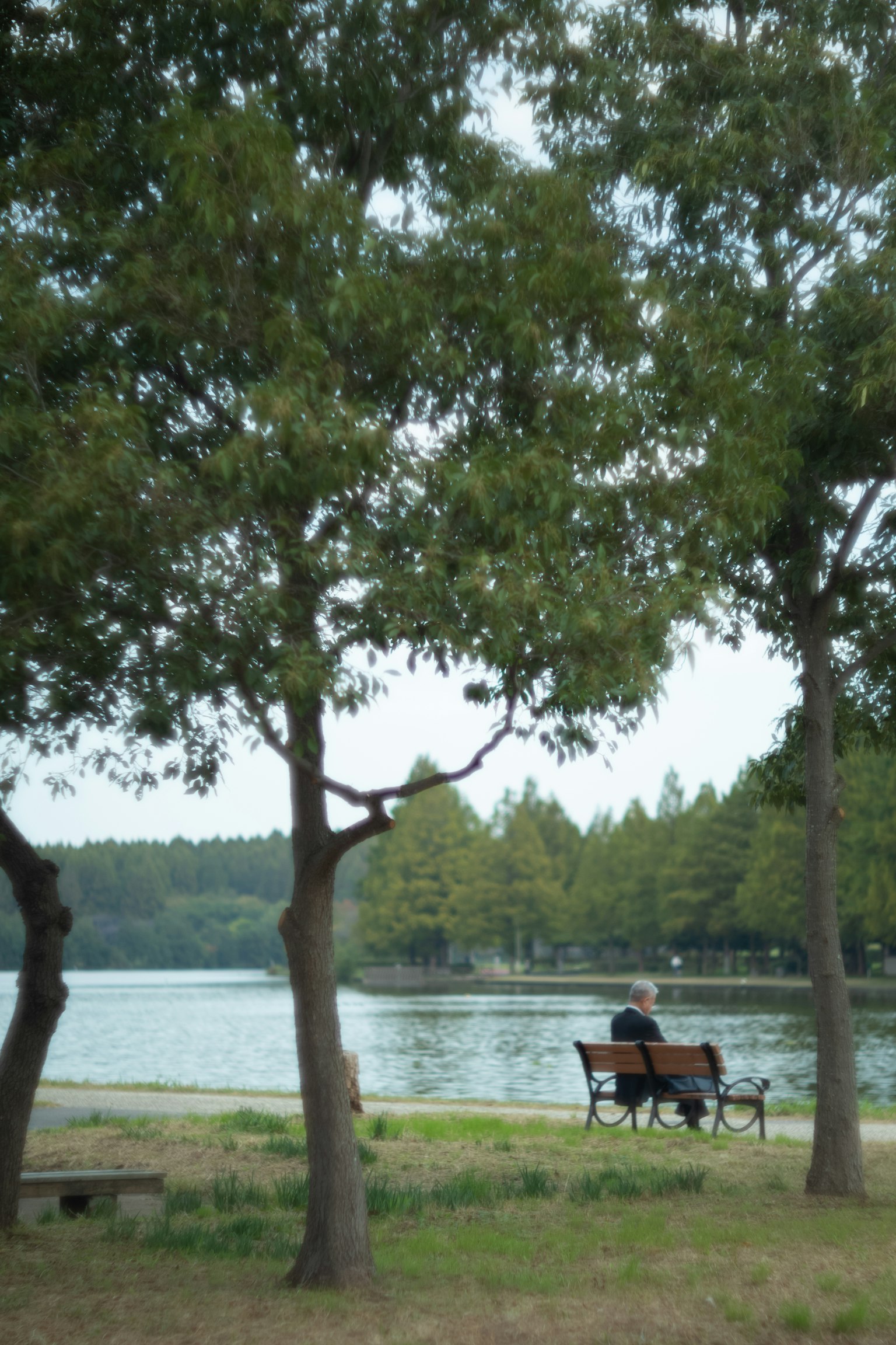 Una coppia seduta su una panchina vicino a un lago tranquillo in un parco