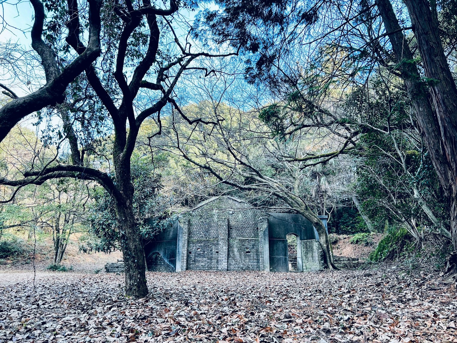 被树木和落叶环绕的废弃混凝土建筑