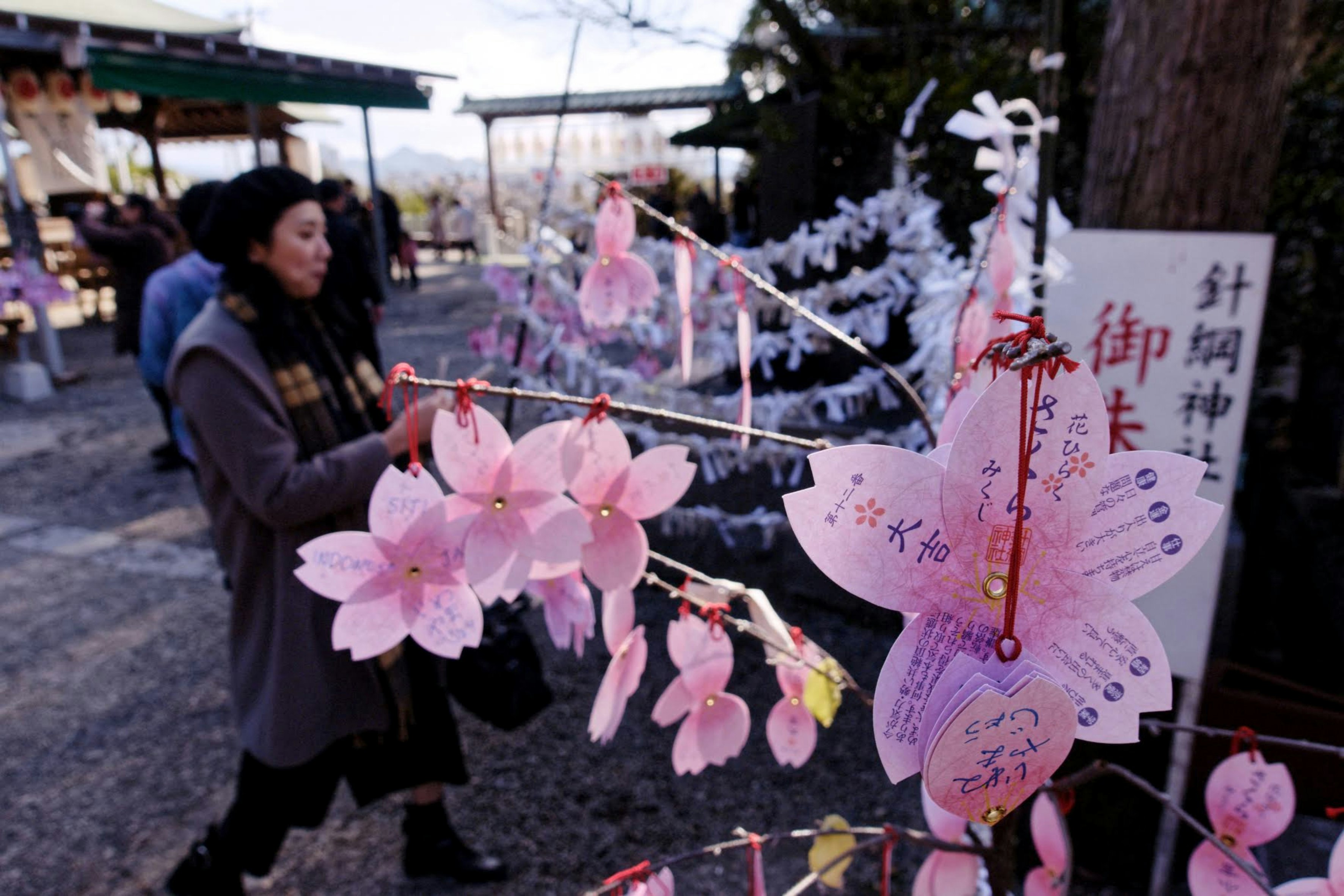 桜の飾りとおみくじが並ぶ神社の参道