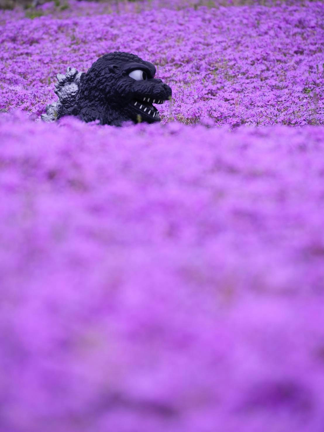 紫の花畑にいる黒い動物のような生き物