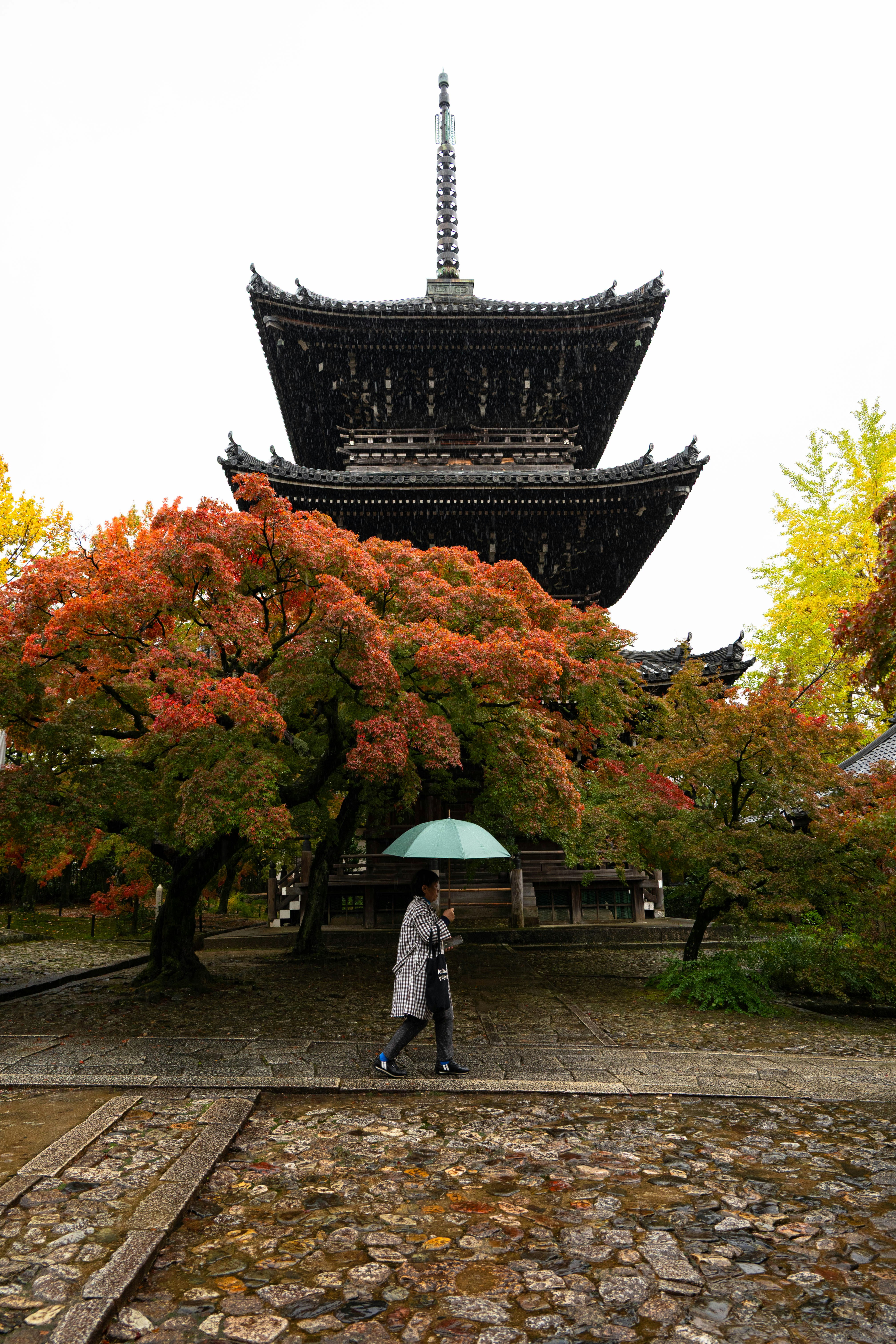 Cortile di un tempio di Kyoto con alberi di acero autunnali e un grande tetto