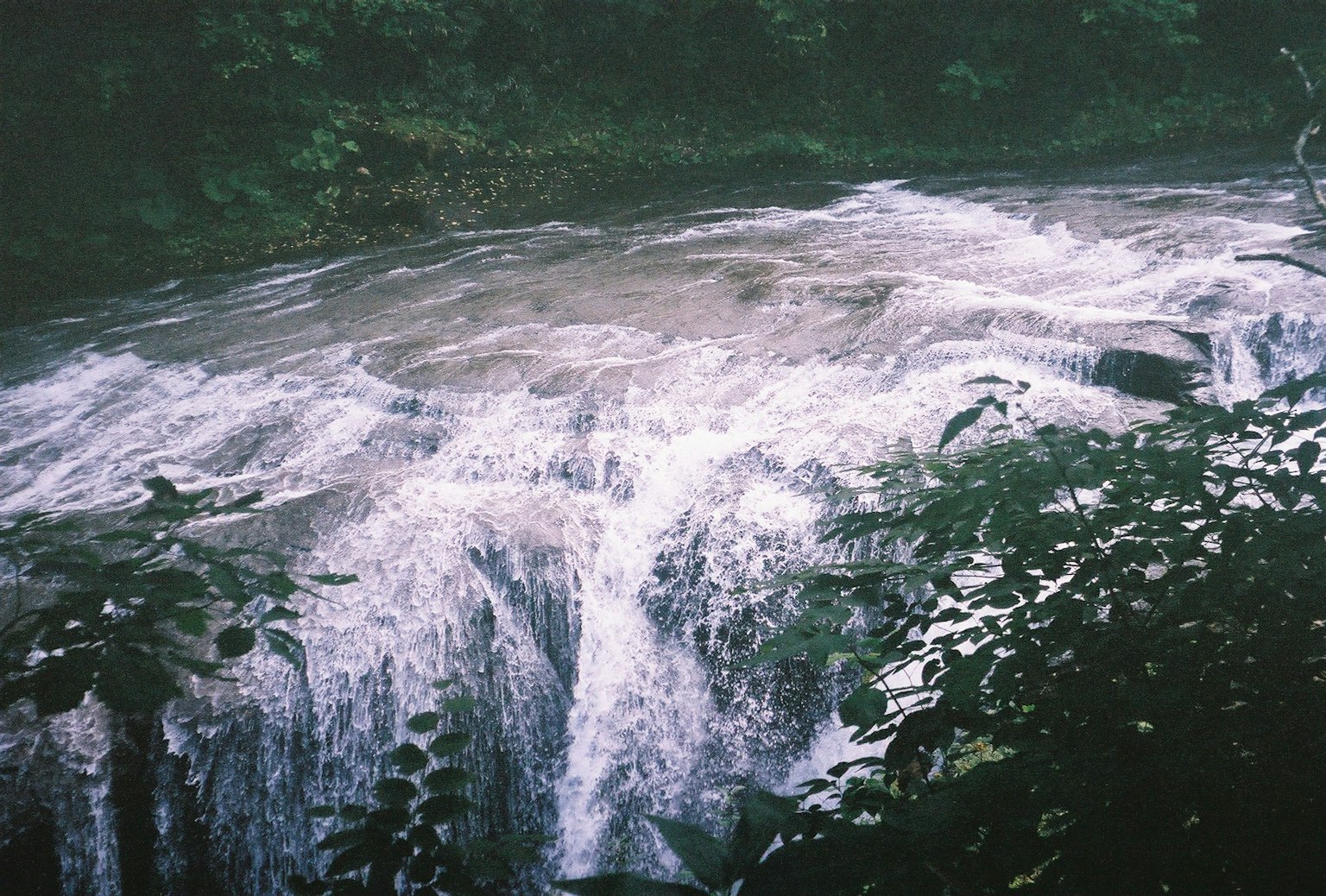 Air terjun yang dikelilingi oleh vegetasi subur
