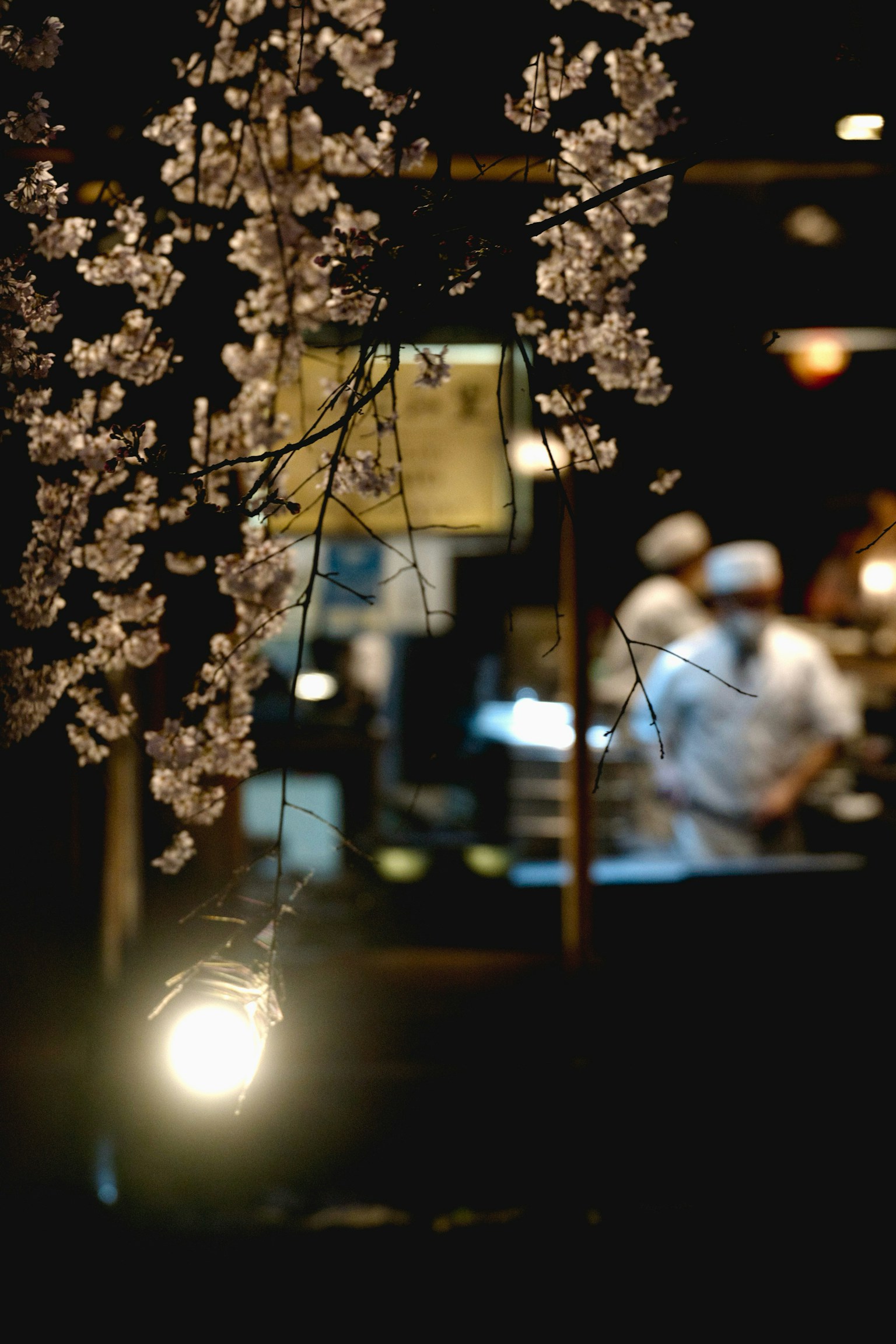 Cherry blossoms hanging with chefs visible in a warm restaurant background